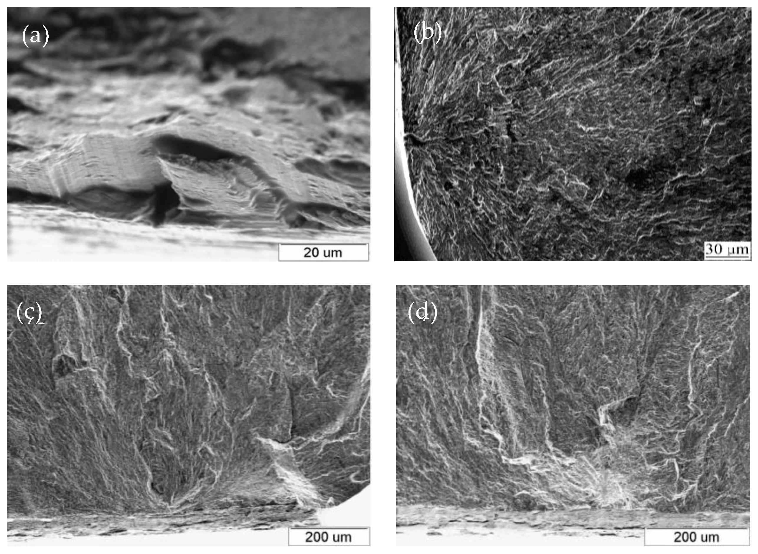 Crystals 13 01320 g021
