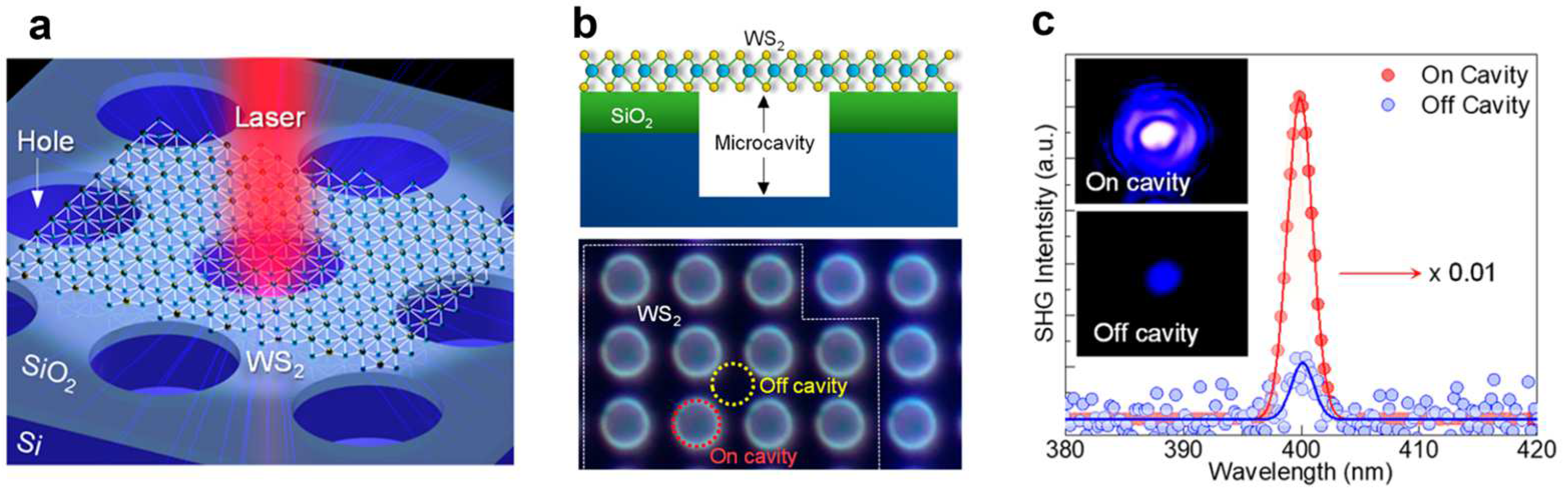 Crystals 13 01337 g003 Crystals 13 01337 g003