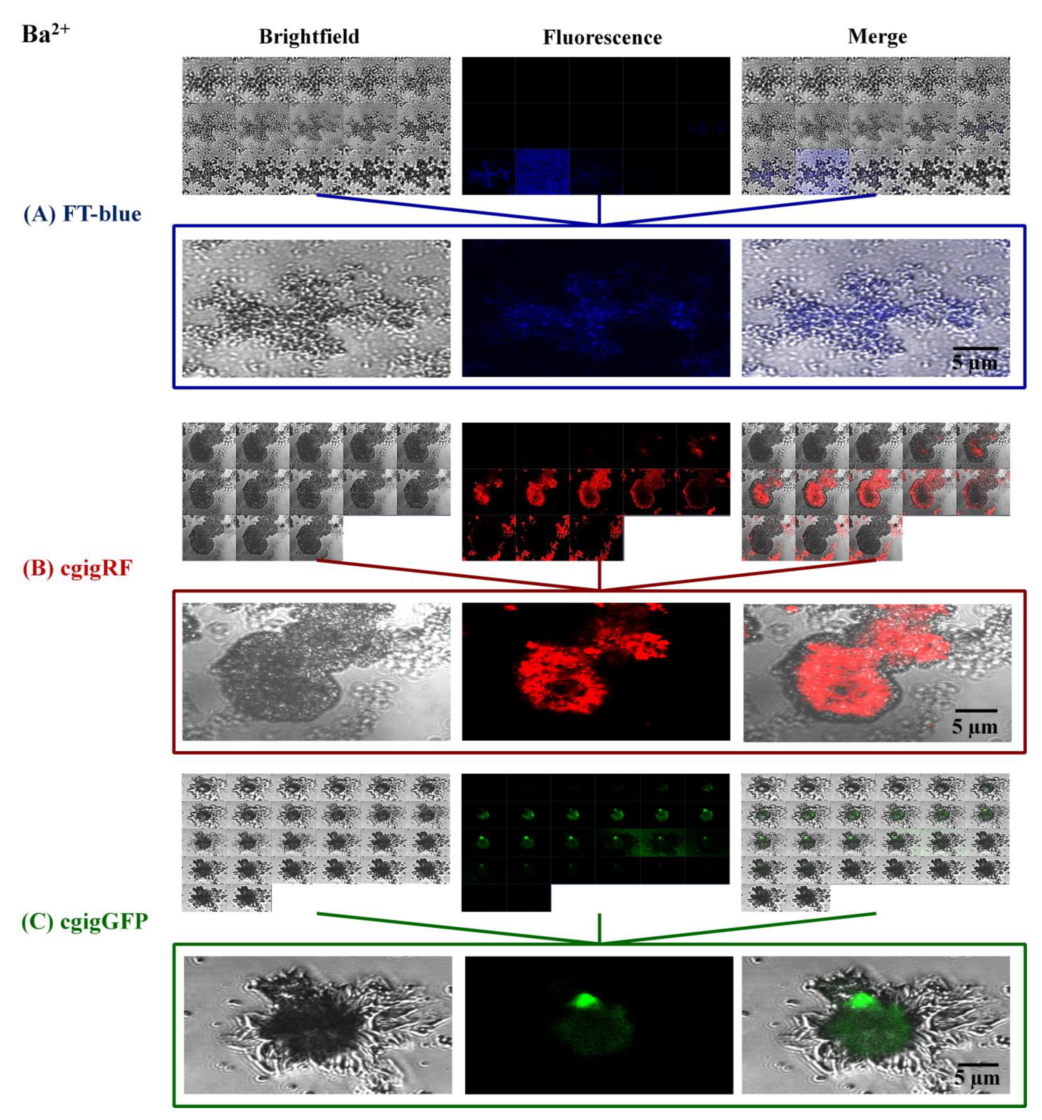 Crystals 13 01343 g003