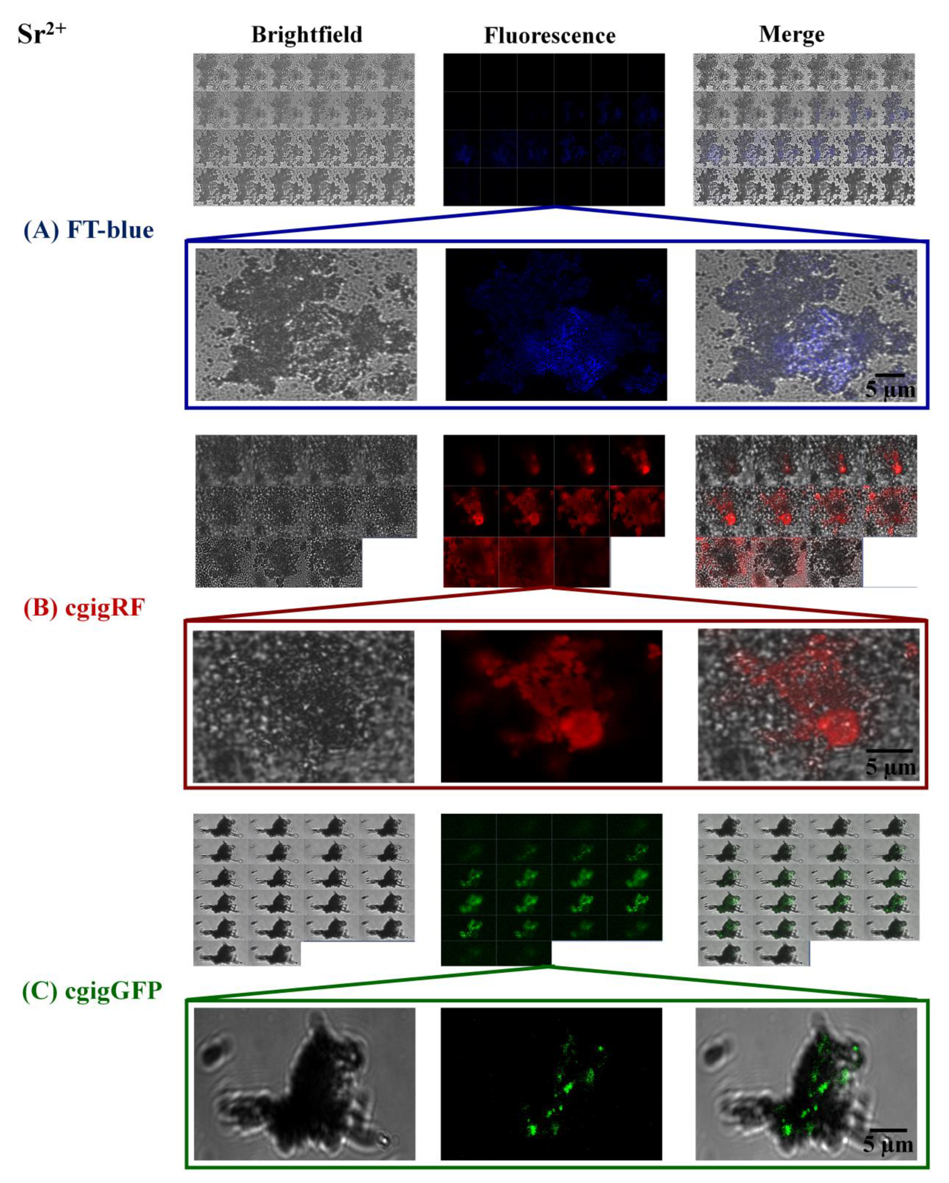 Crystals 13 01343 g004