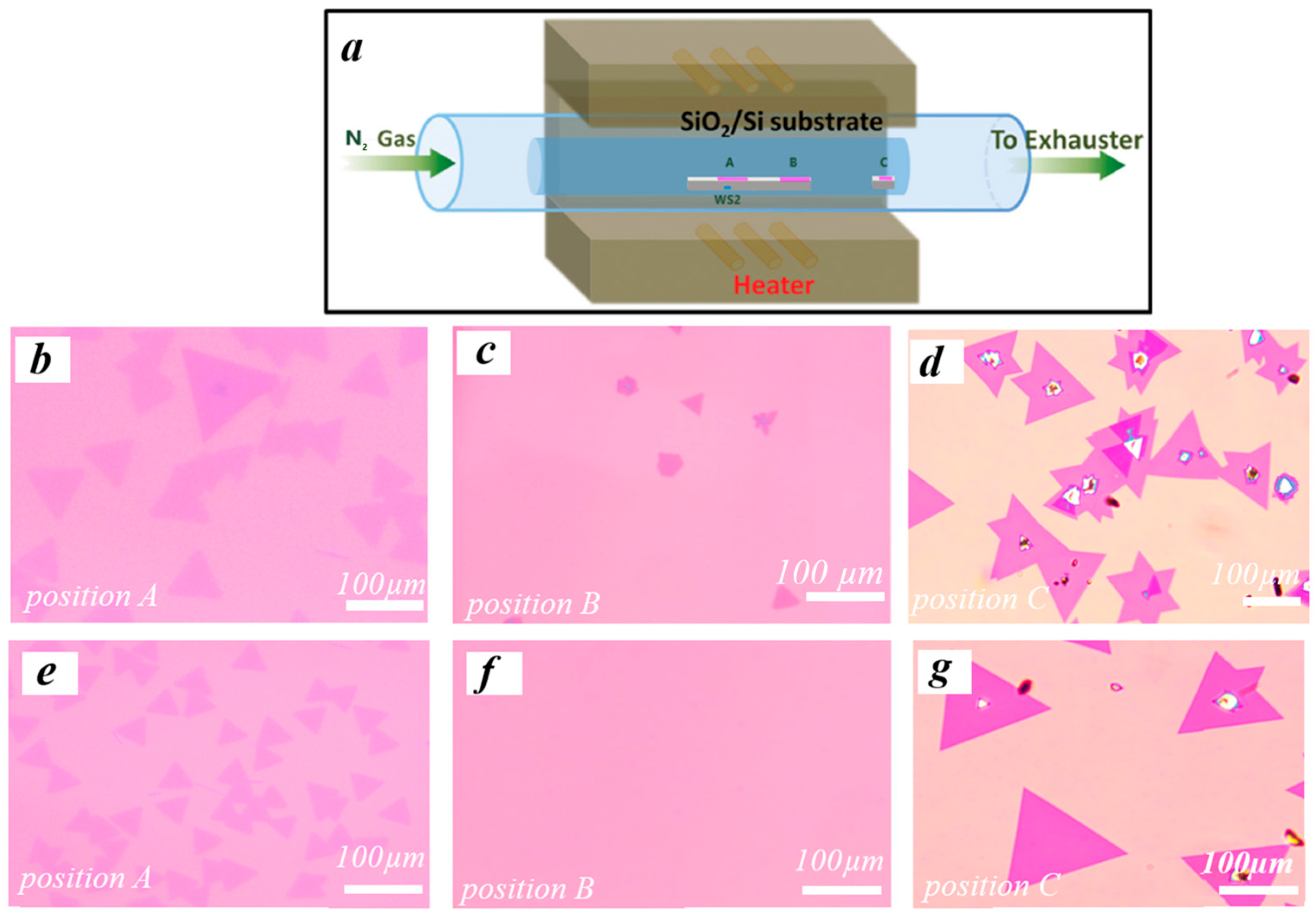 Crystals 13 01373 g005