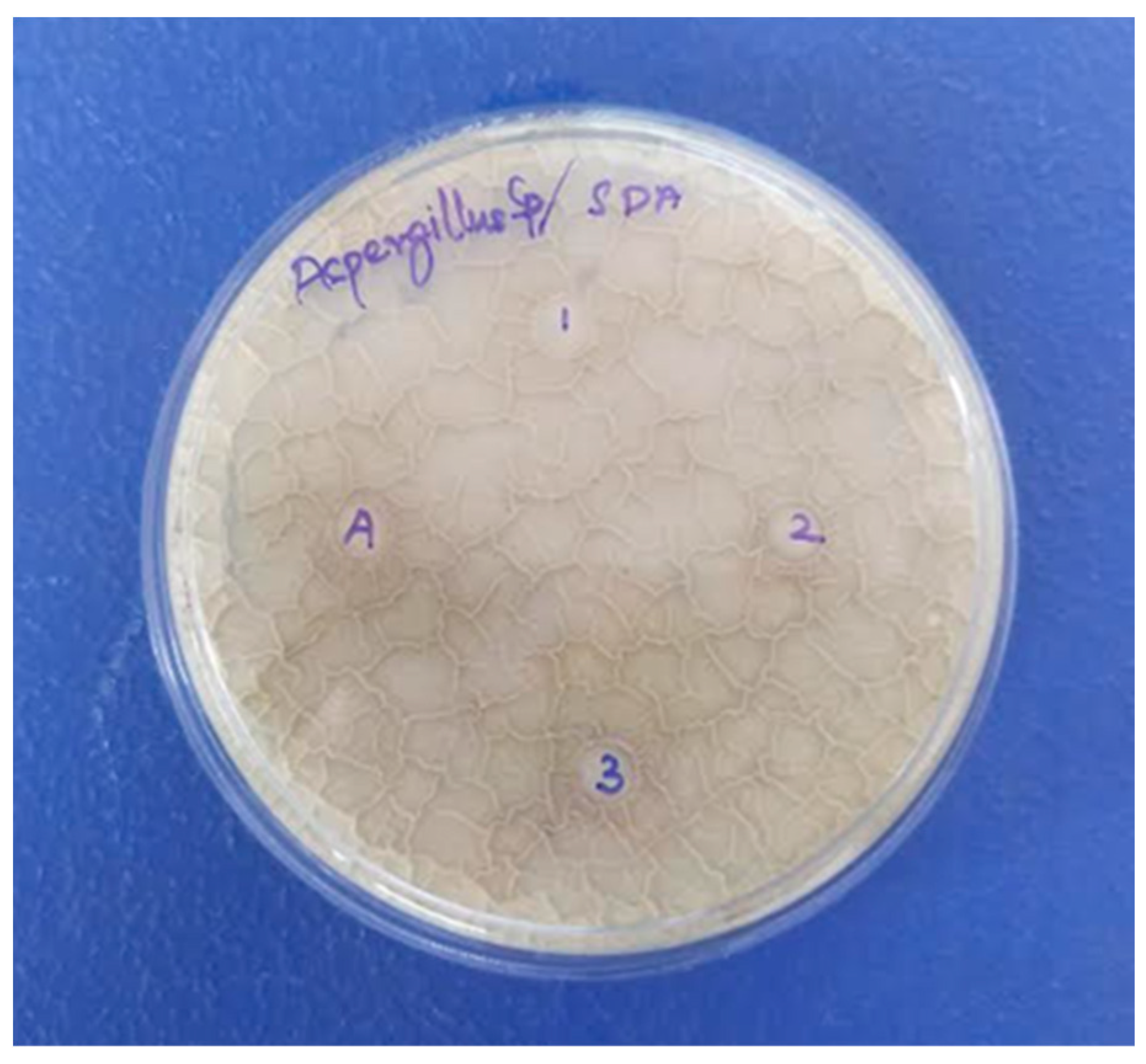 Crystals 13 01393 g007