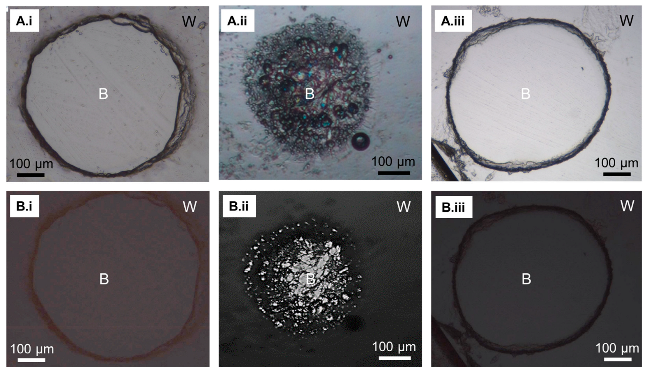 Crystals 13 01402 g003