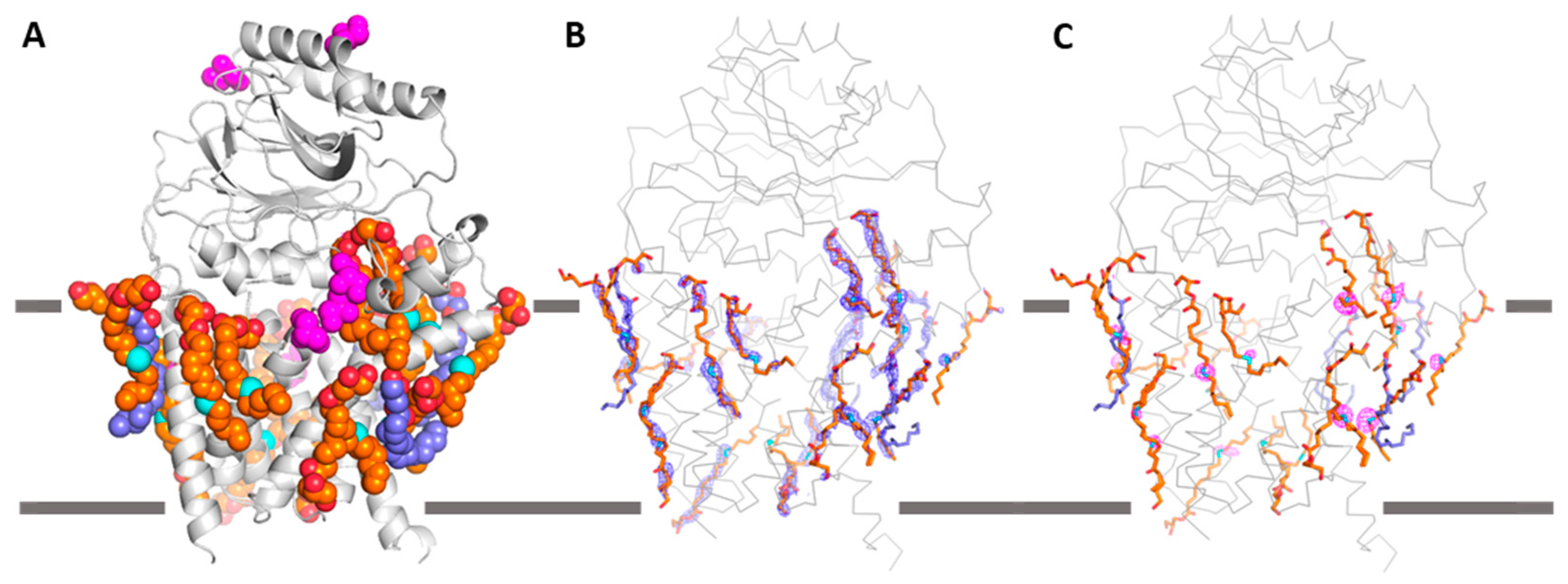 Crystals 13 01402 g005