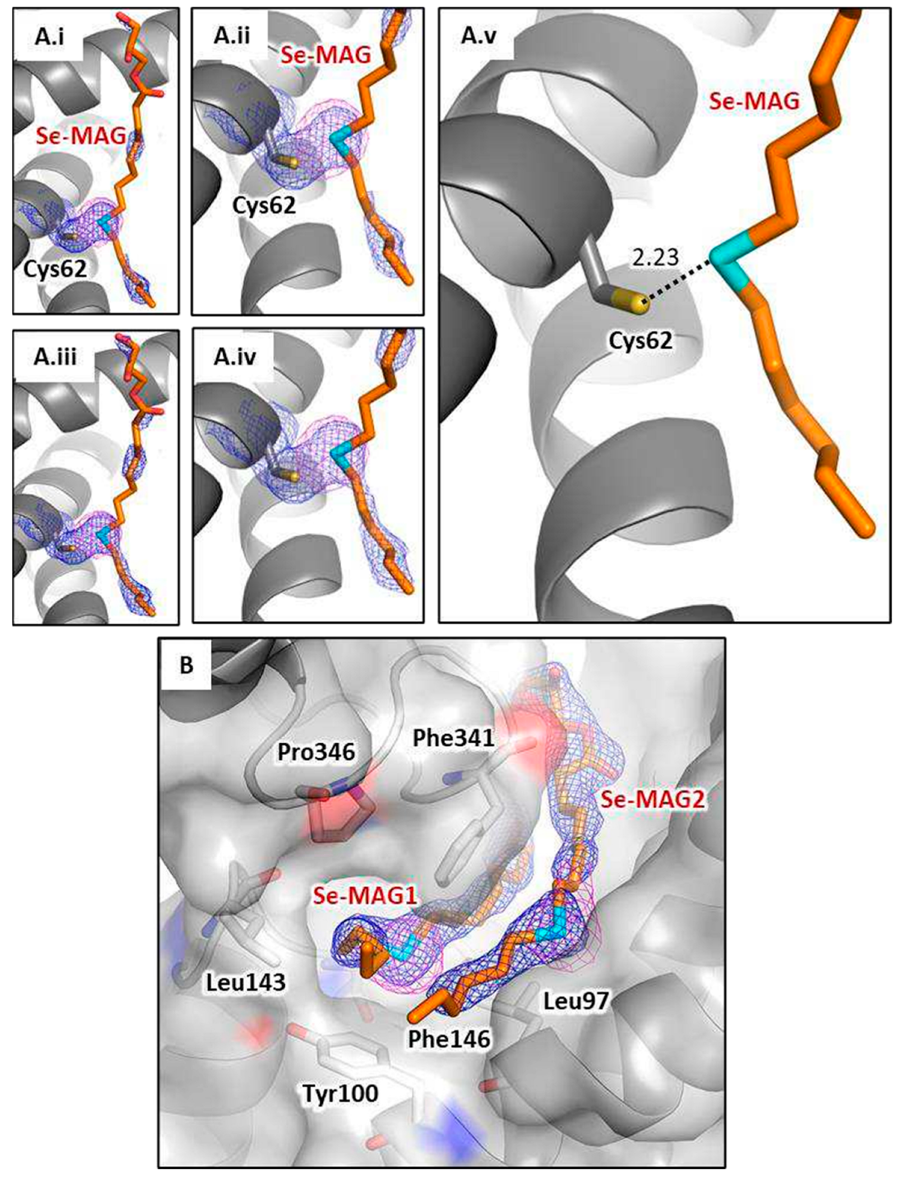 Crystals 13 01402 g006