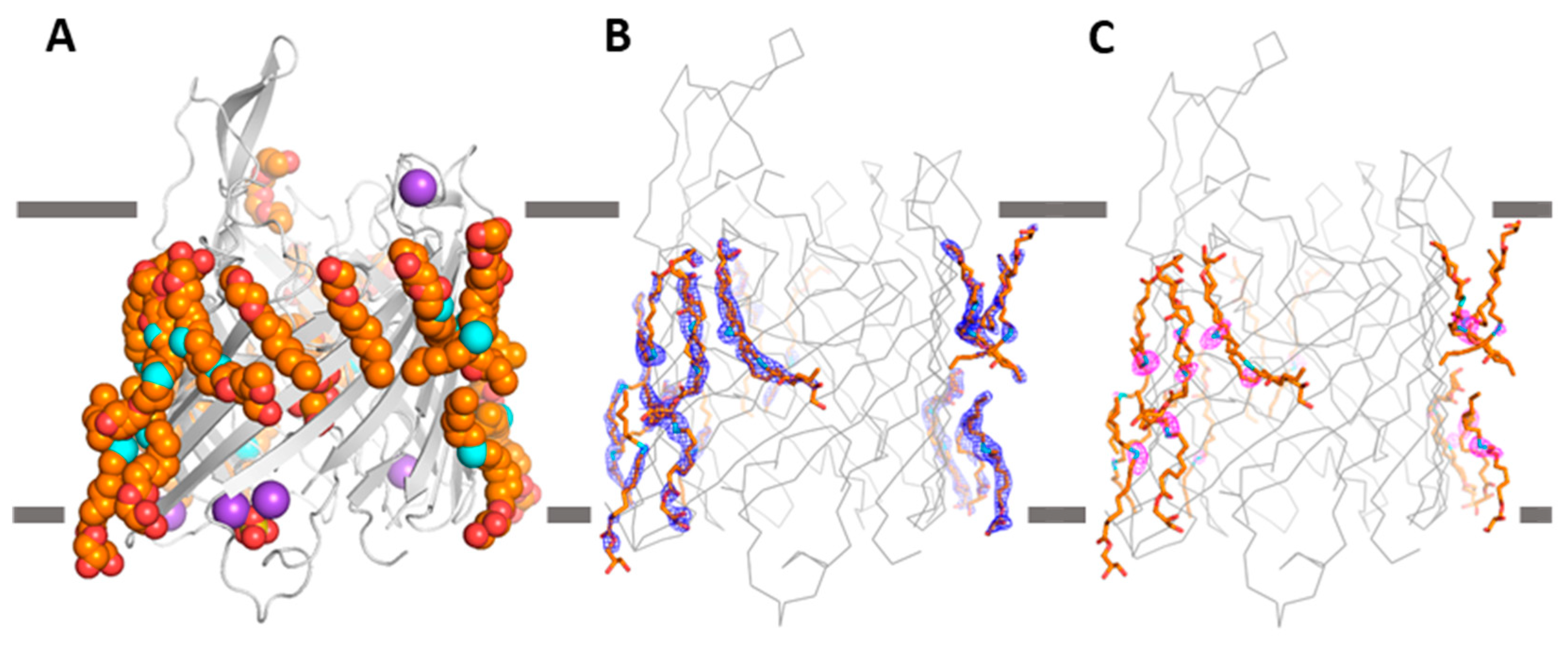 Crystals 13 01402 g007