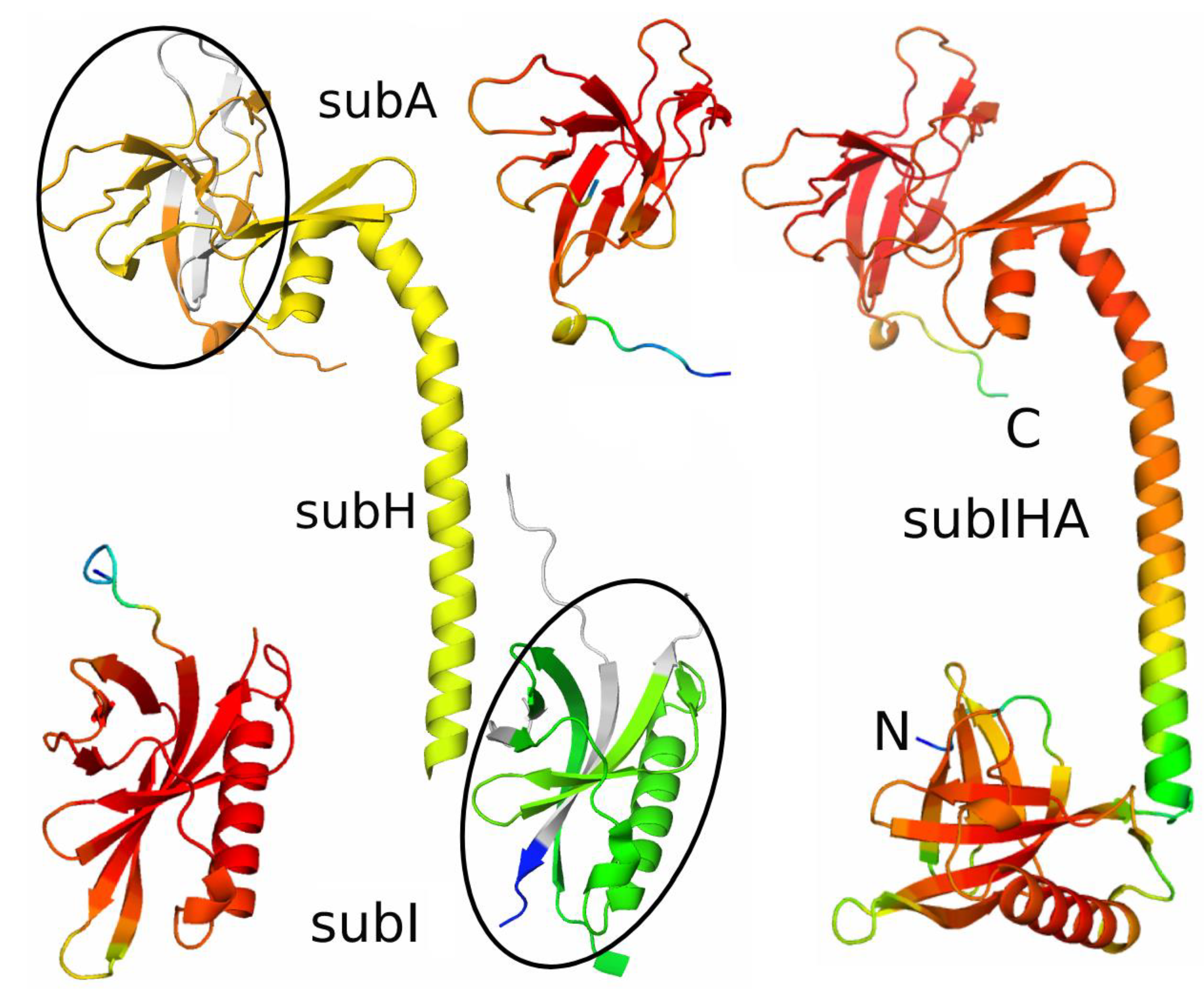 Crystals 13 01416 g005 Crystals 13 01416 g005