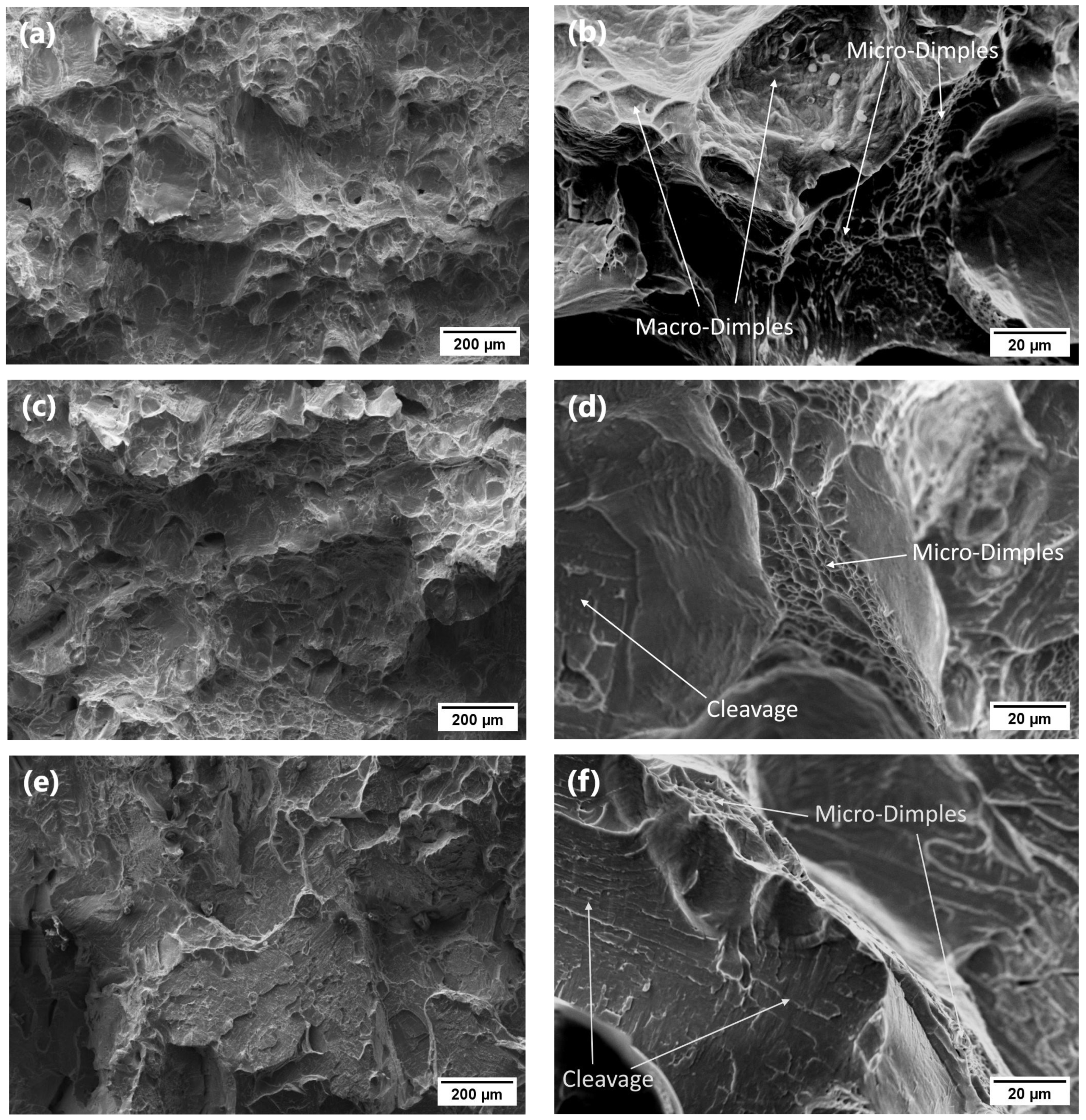 Crystals 13 01424 g009