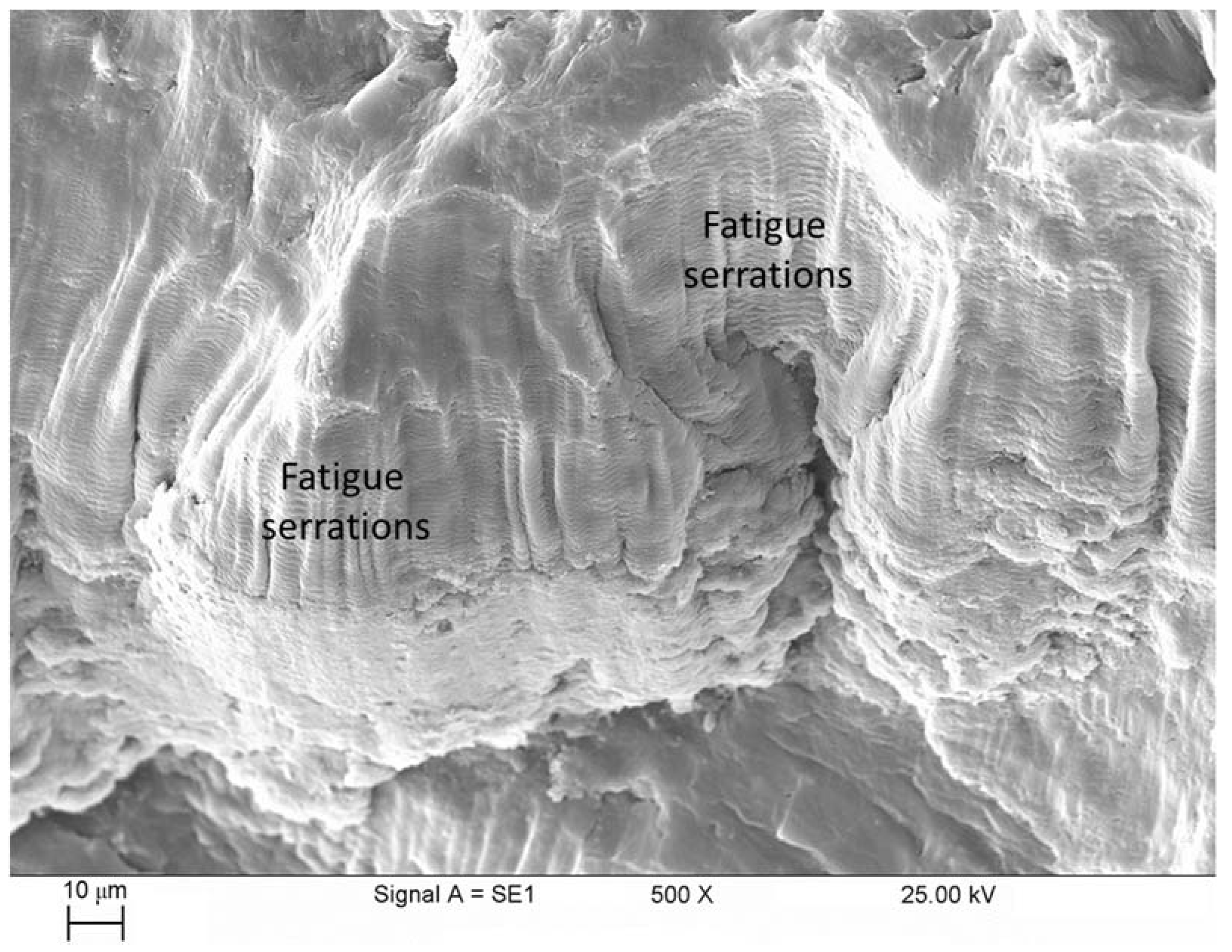 Crystals 13 01469 g007