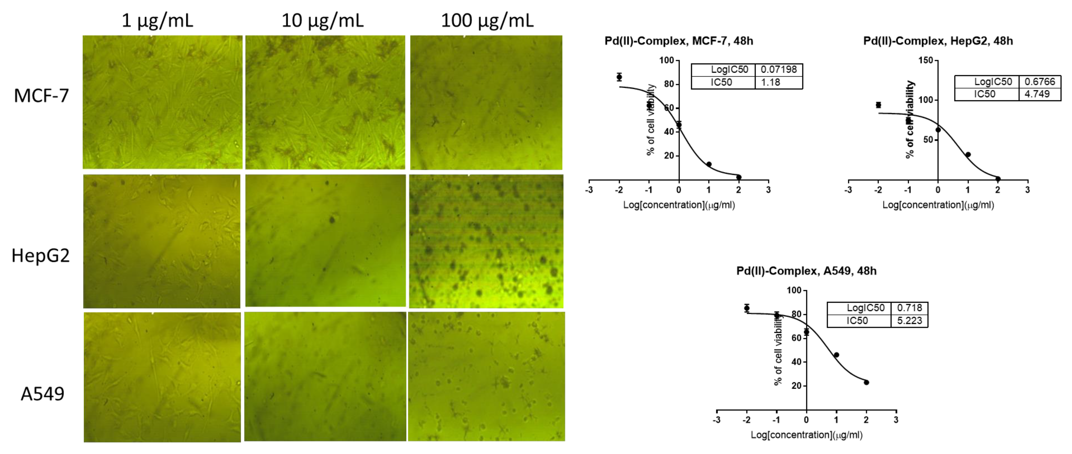Crystals 13 01472 g008