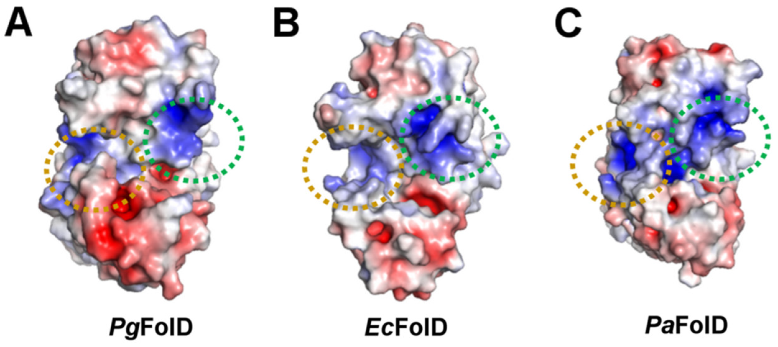 Crystals 13 01489 g005