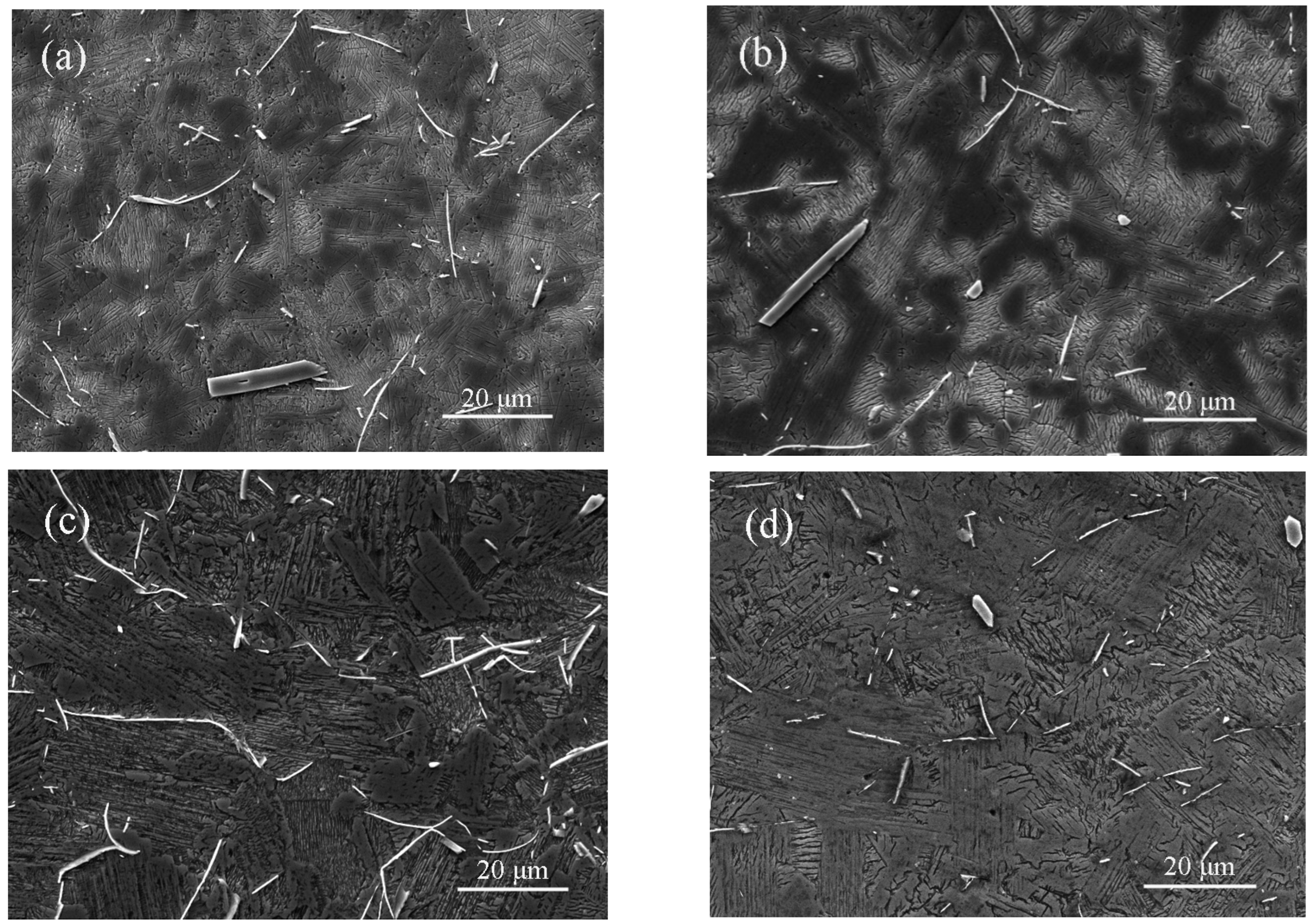 Crystals 13 01494 g007