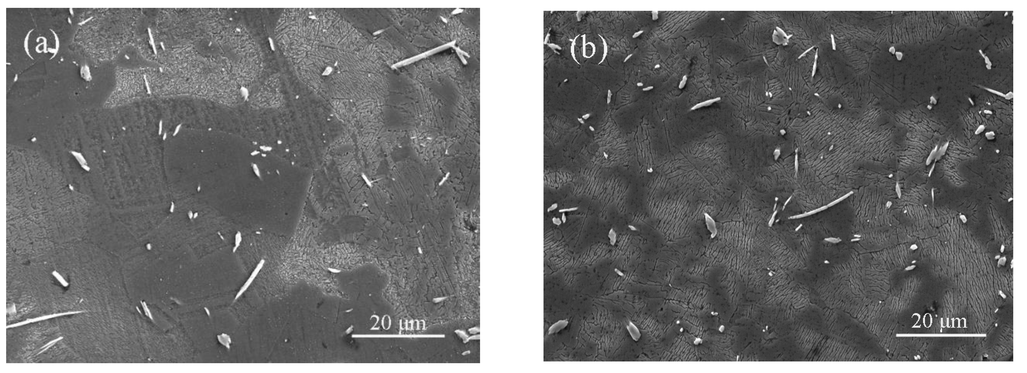 Crystals 13 01494 g008a