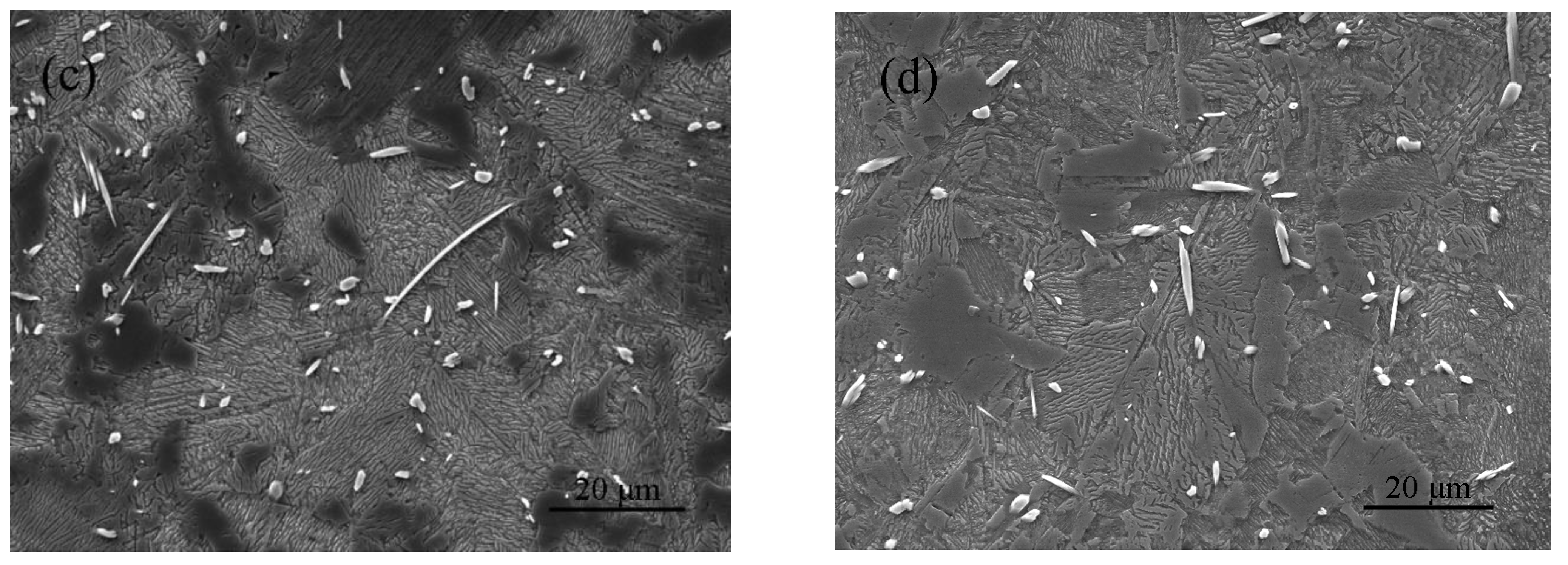 Crystals 13 01494 g008b