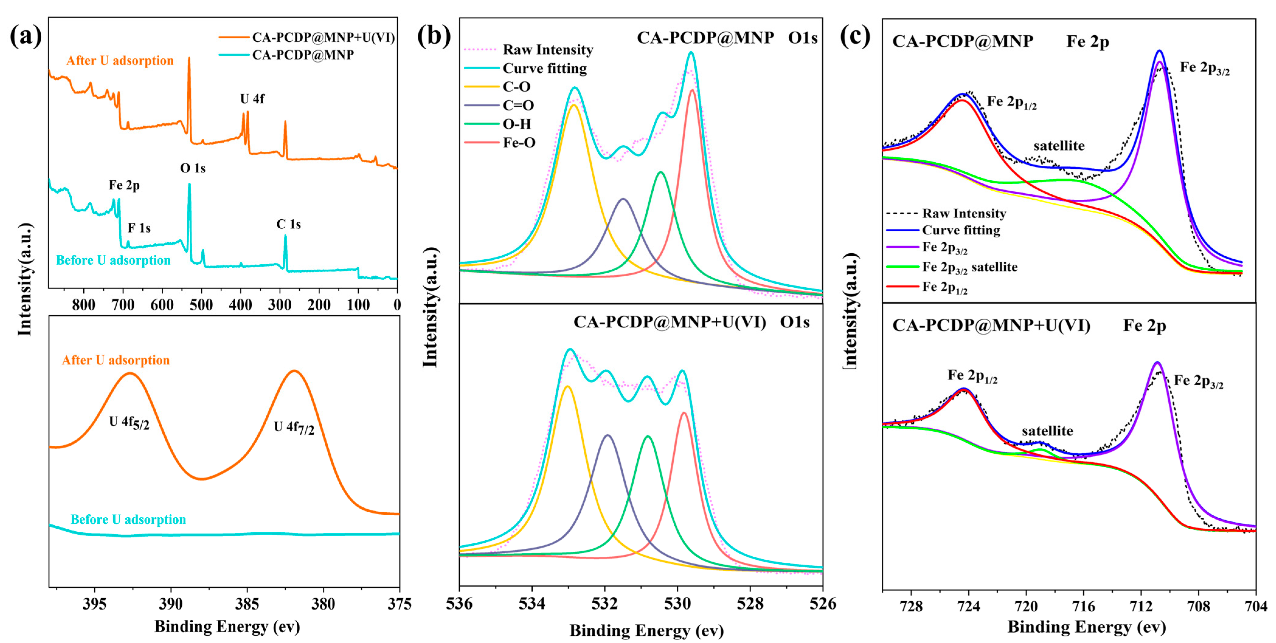 Crystals 13 01496 g008