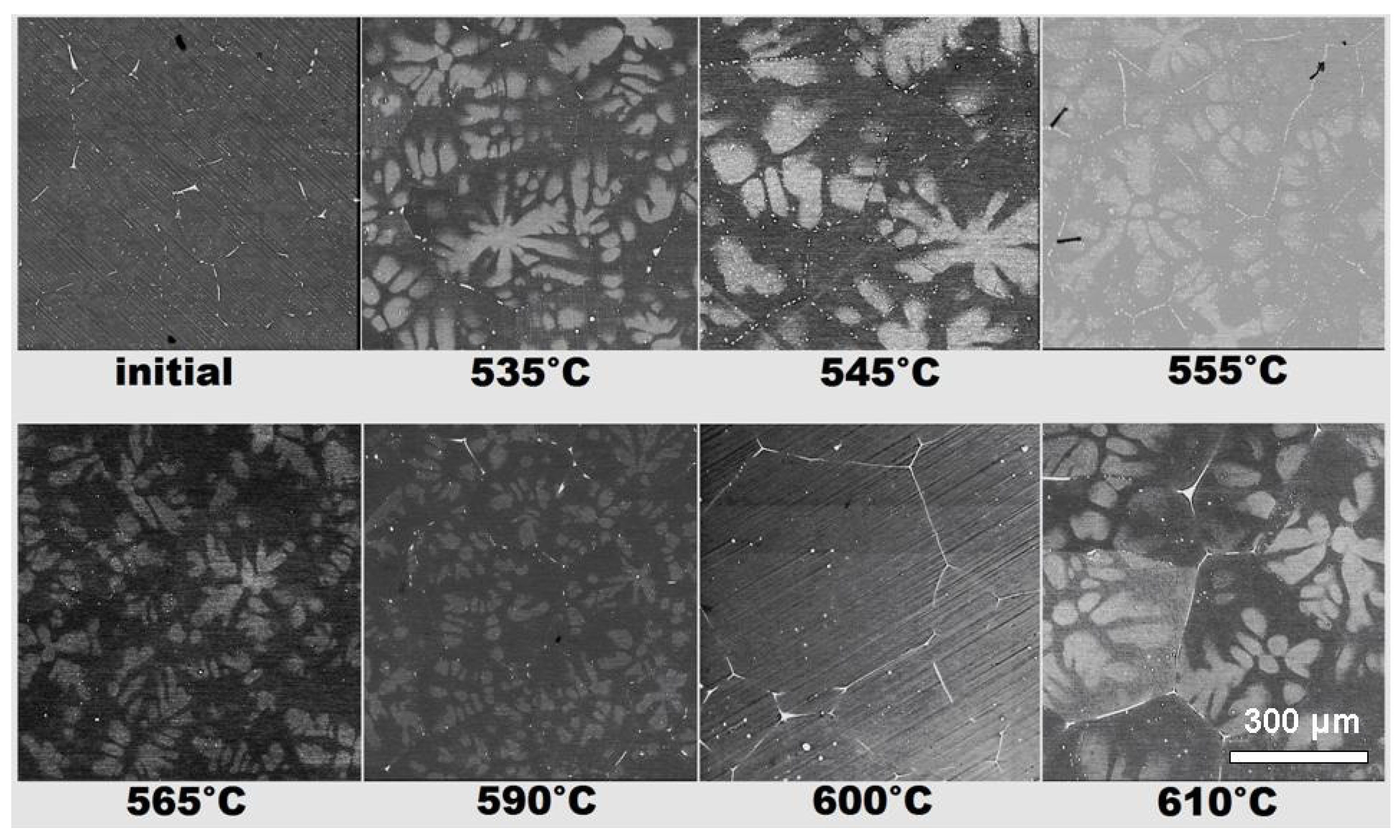 Crystals 13 01538 g004