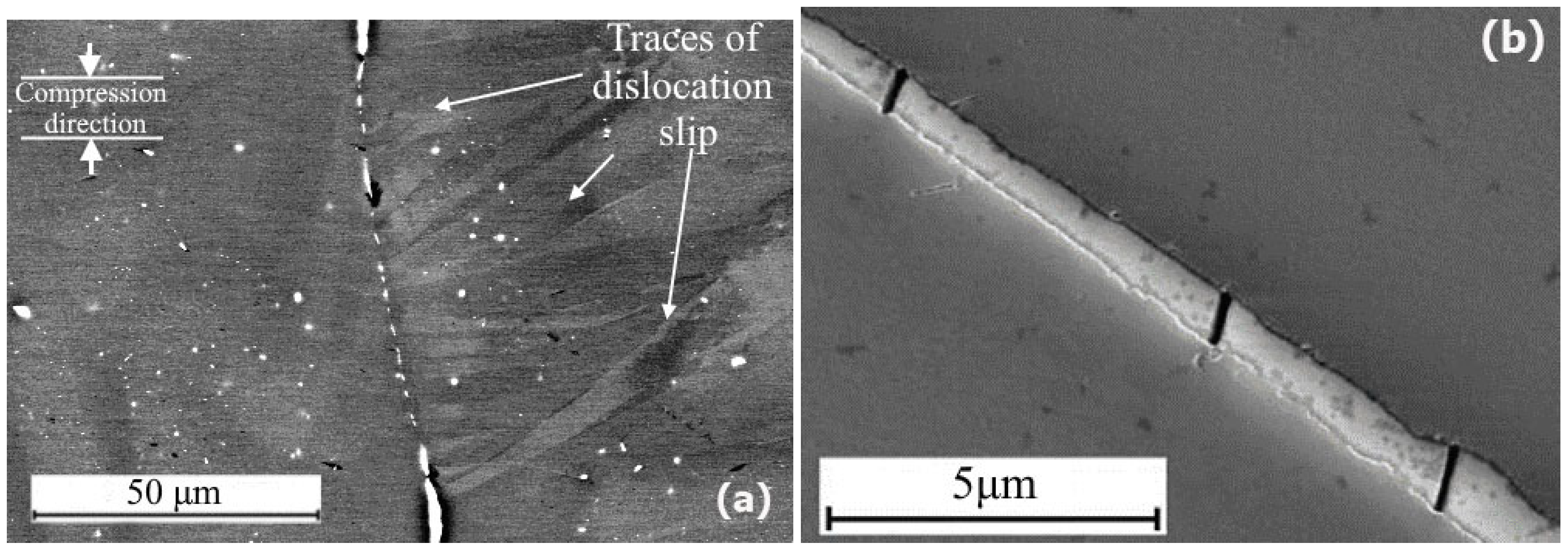 Crystals 13 01538 g008