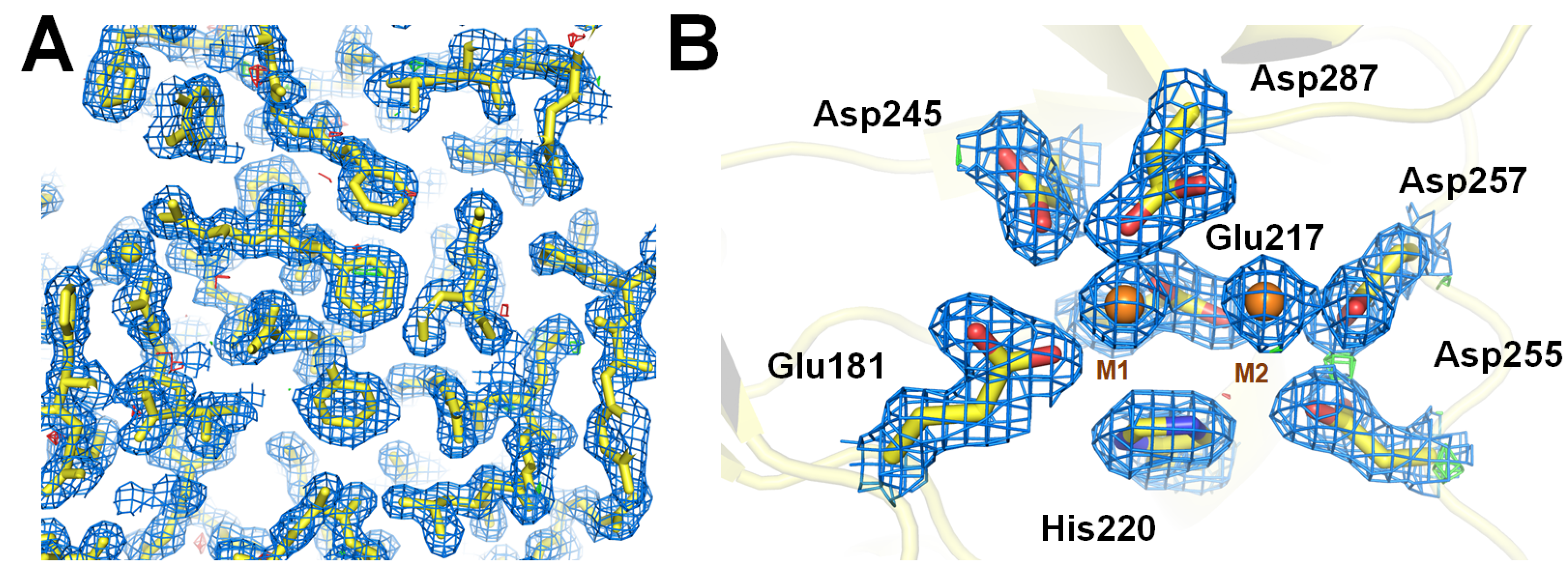 Crystals 13 01544 g003