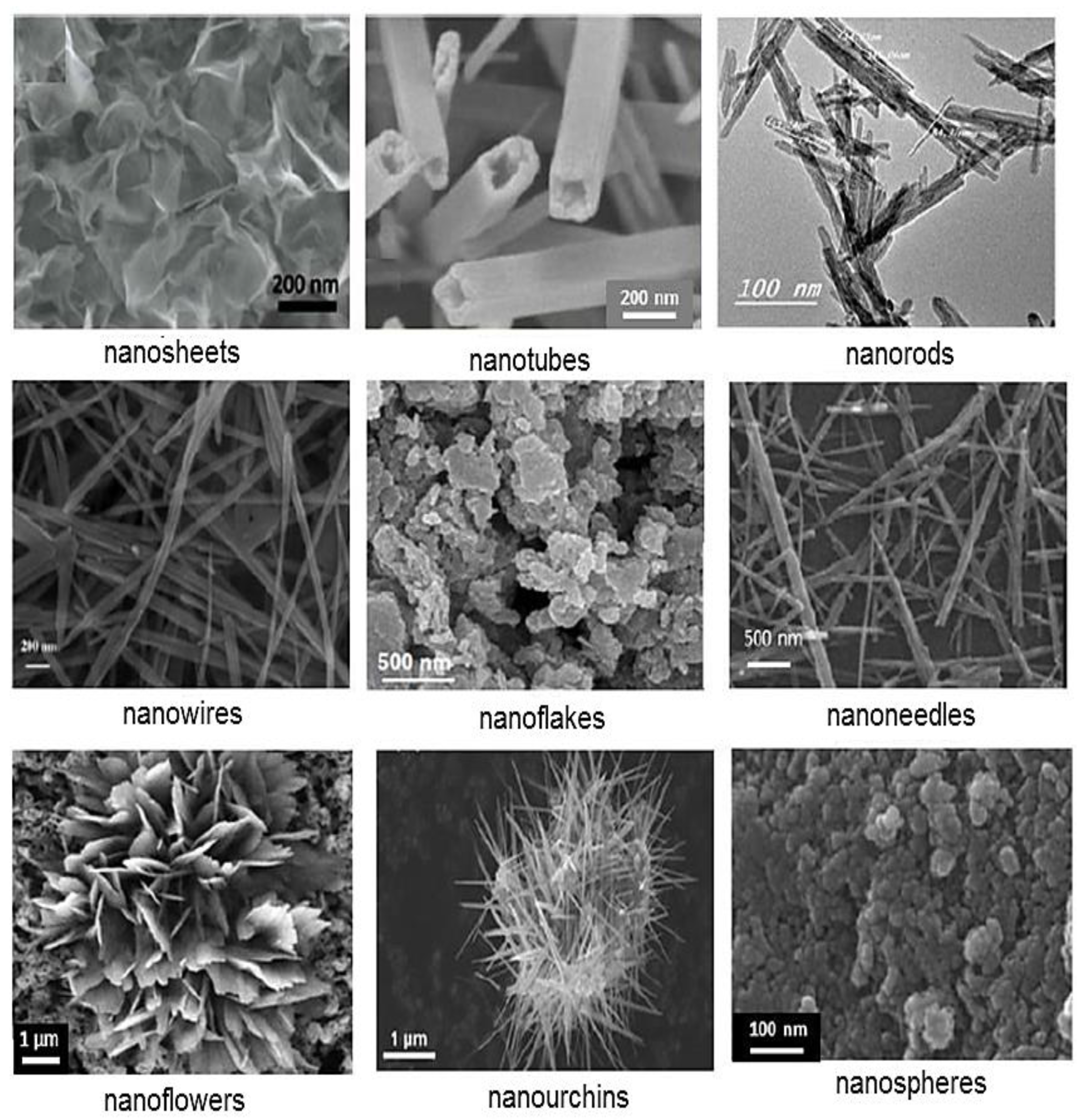 Crystals 13 01576 g008