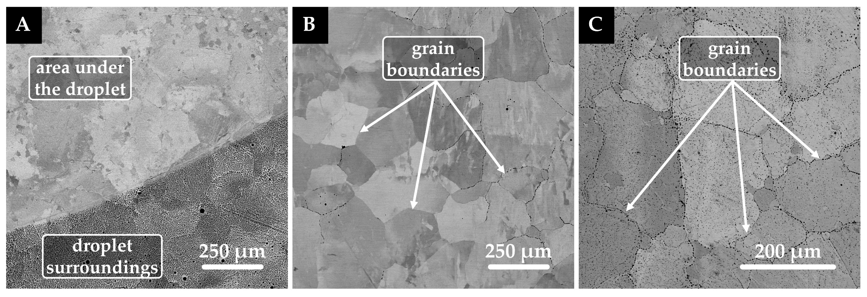 Crystals 13 01618 g006