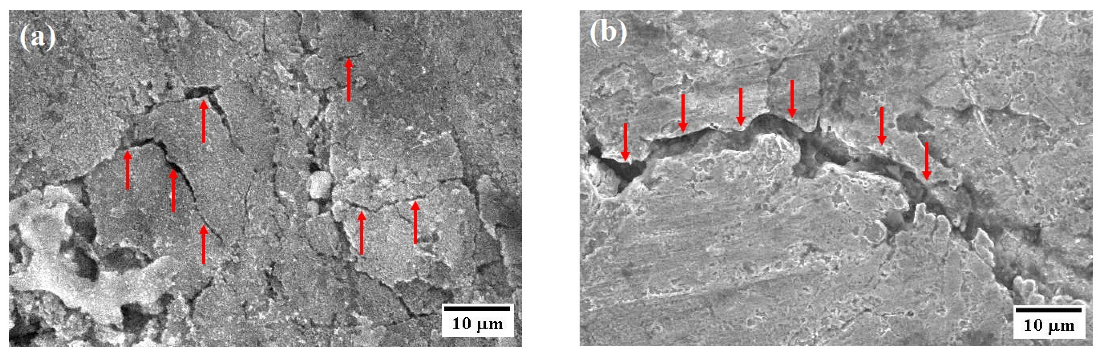 Crystals 13 01635 g013 Crystals 13 01635 g013