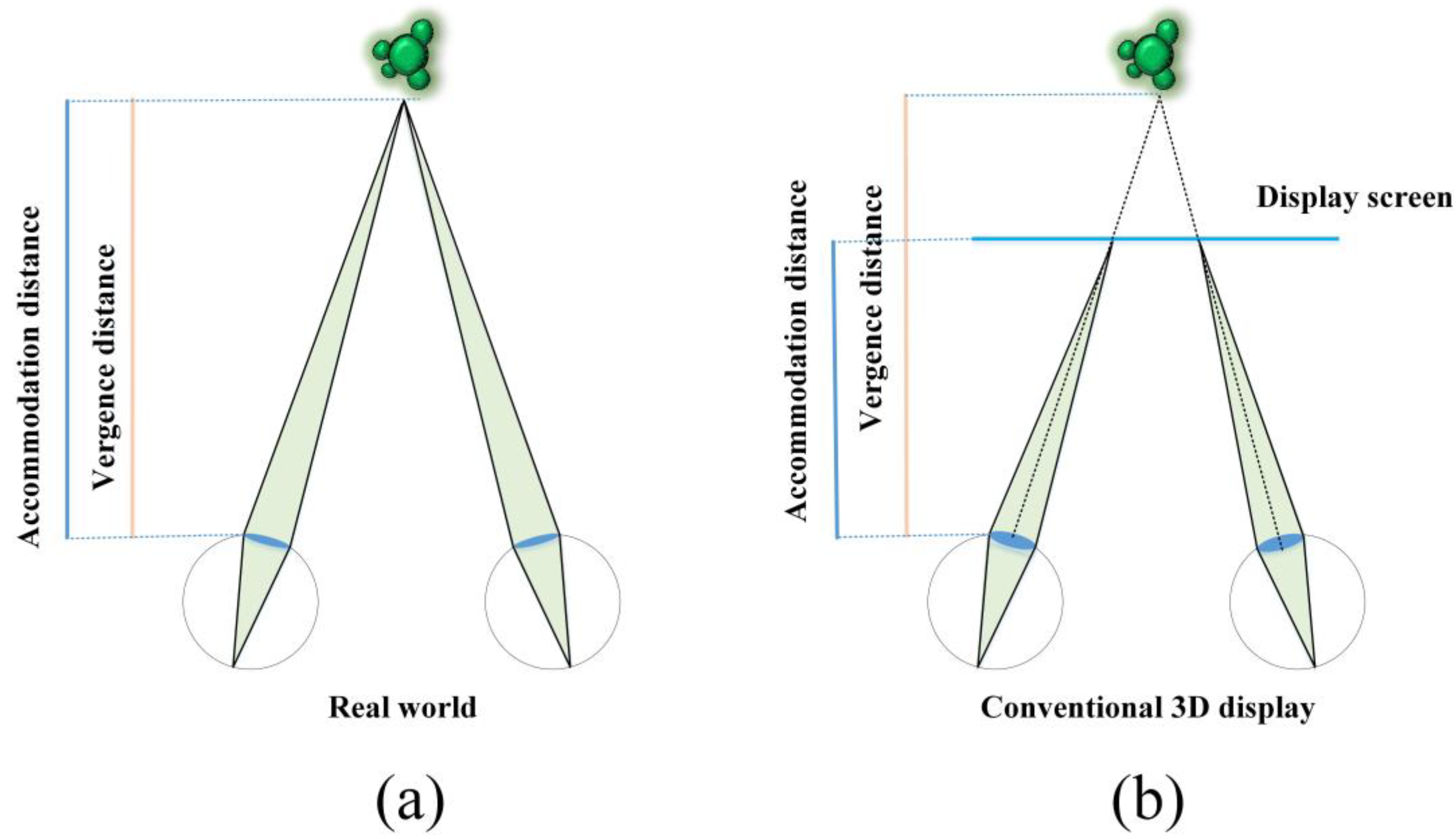 Crystals 13 01639 g001