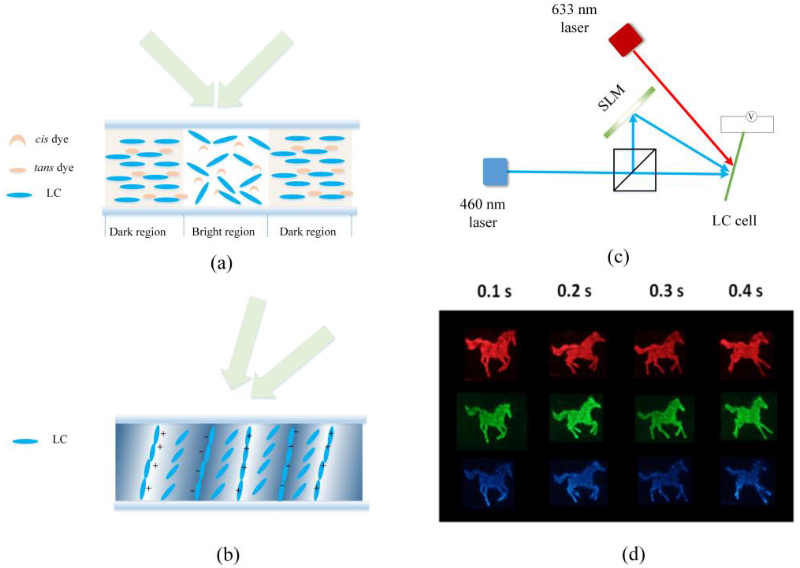 Crystals 13 01639 g009