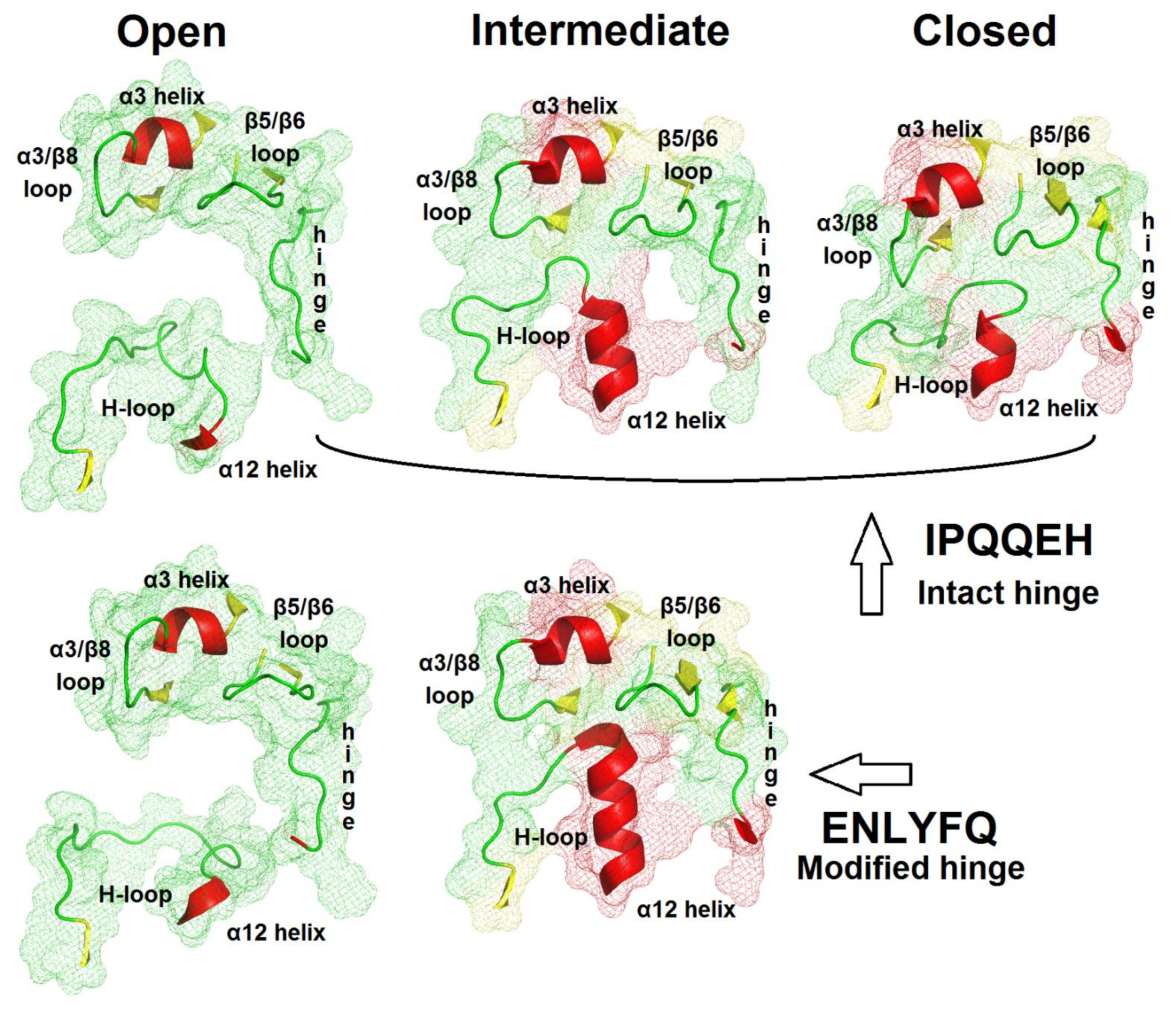 Crystals 13 01642 g004