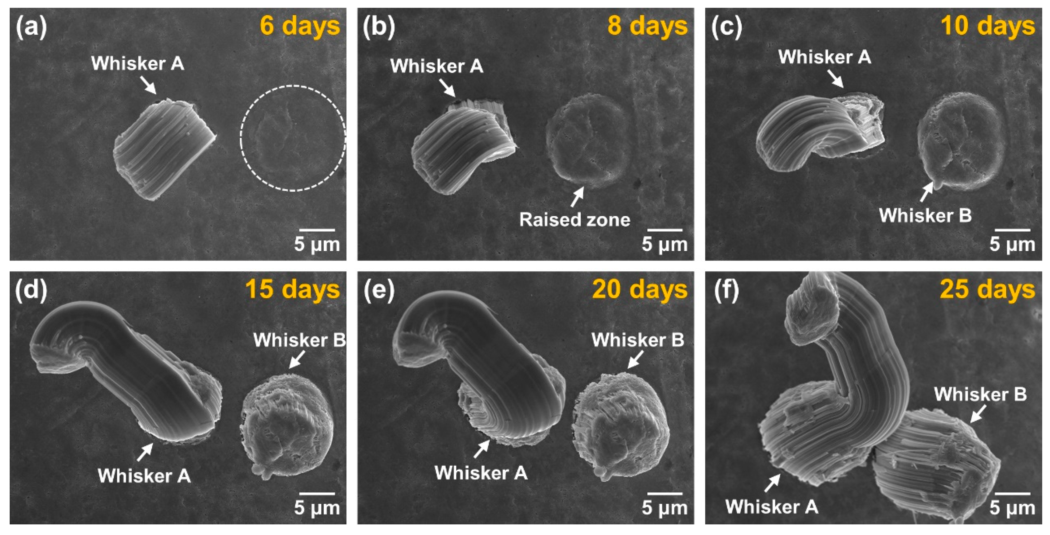 Crystals 13 01643 g003