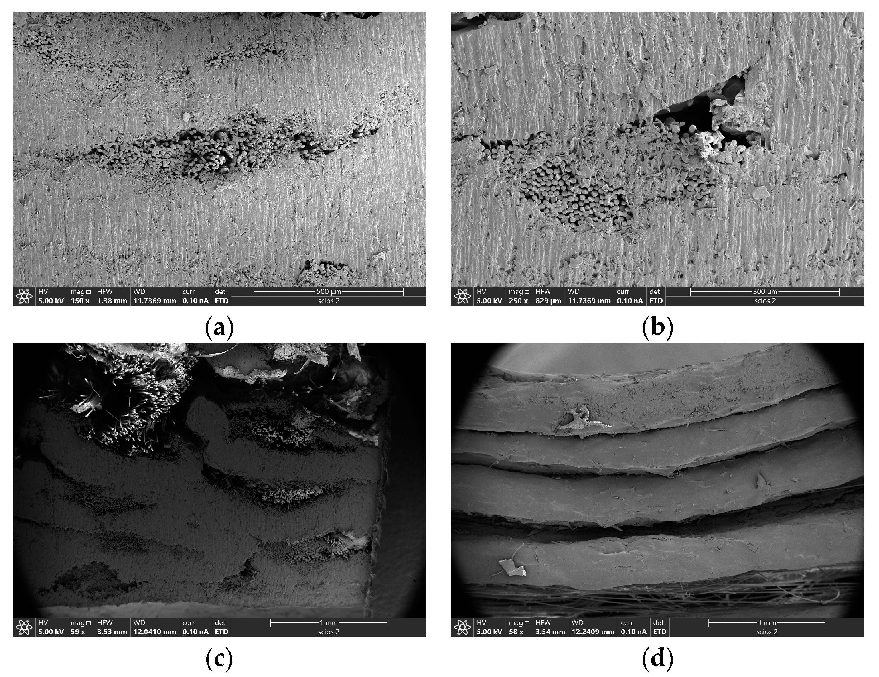 Crystals 13 01644 g017