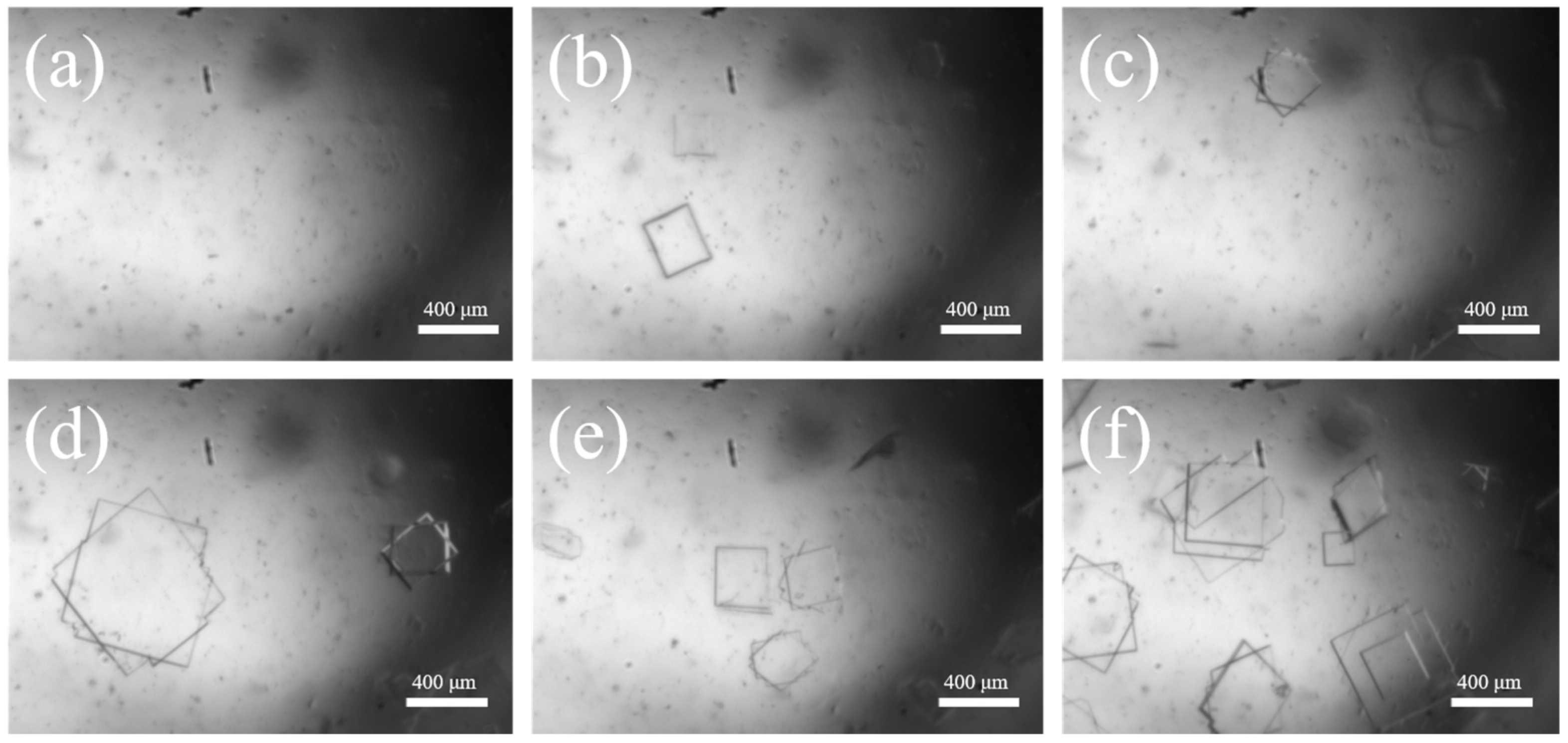 Crystals 14 00004 g006