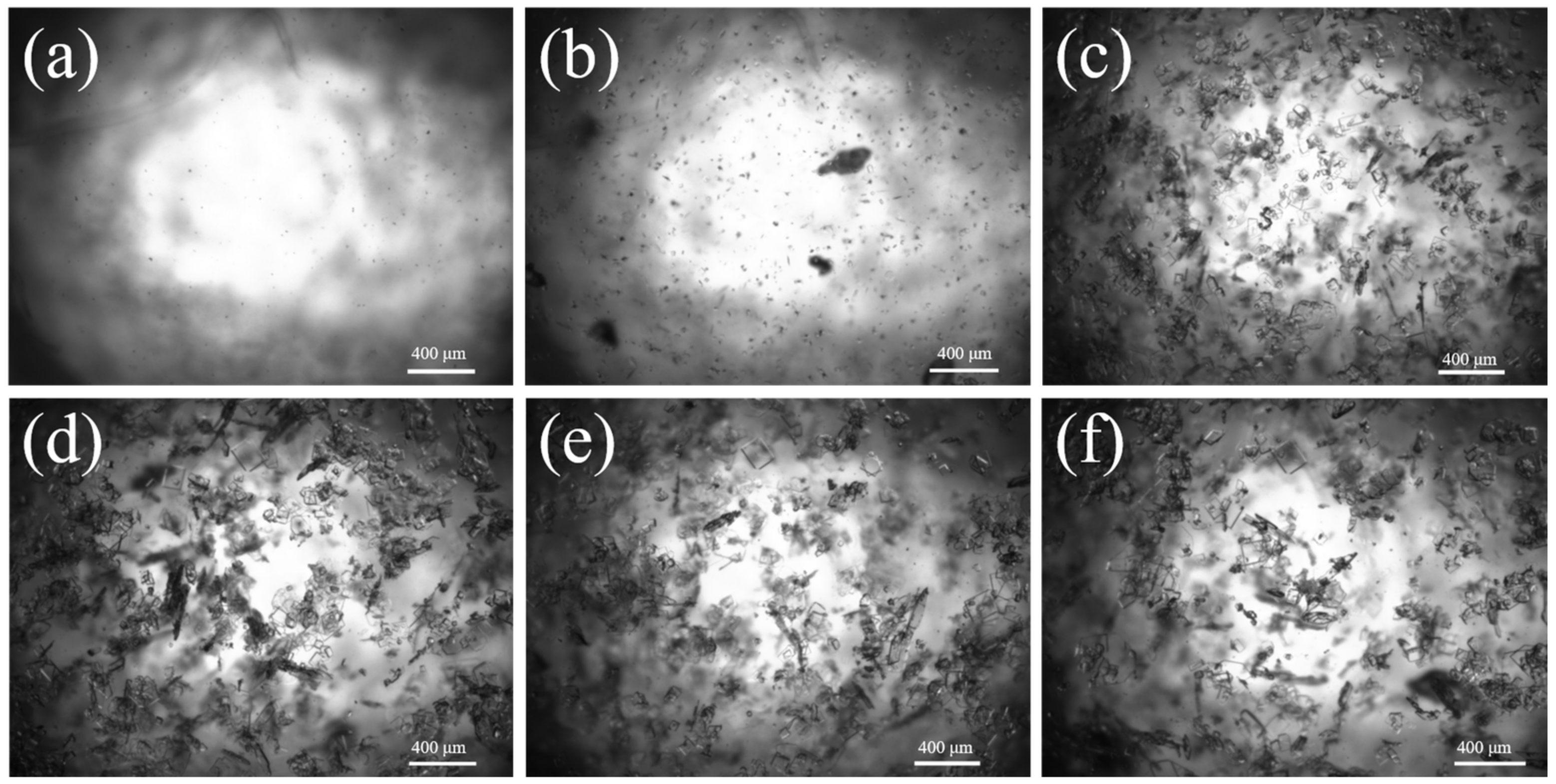 Crystals 14 00004 g009