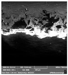 Crystals 14 00007 i001