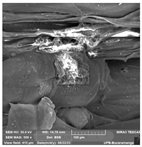 Crystals 14 00007 i005