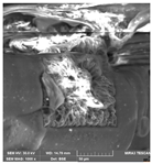 Crystals 14 00007 i006