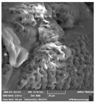 Crystals 14 00007 i007