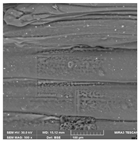 Crystals 14 00007 i009