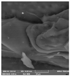 Crystals 14 00007 i018