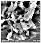 Crystals 14 00007 i034