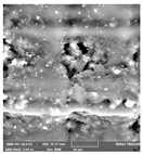 Crystals 14 00007 i038