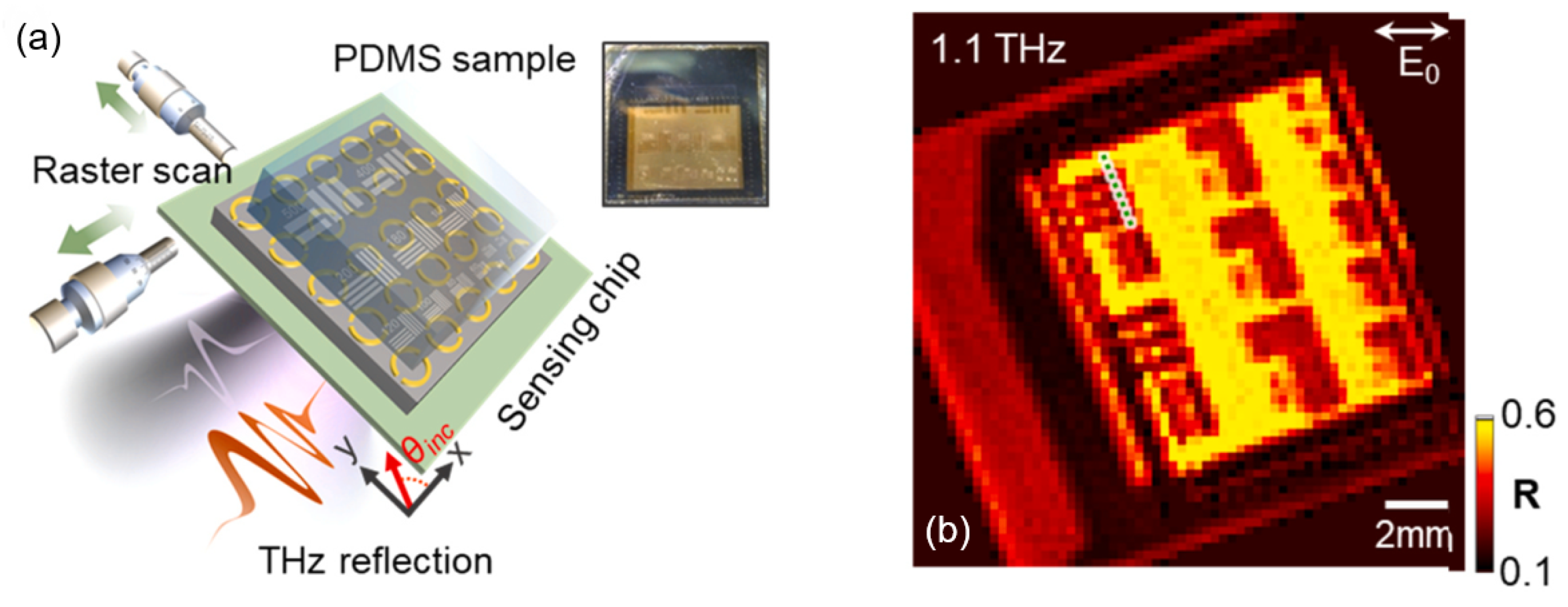 Crystals 14 00019 g011