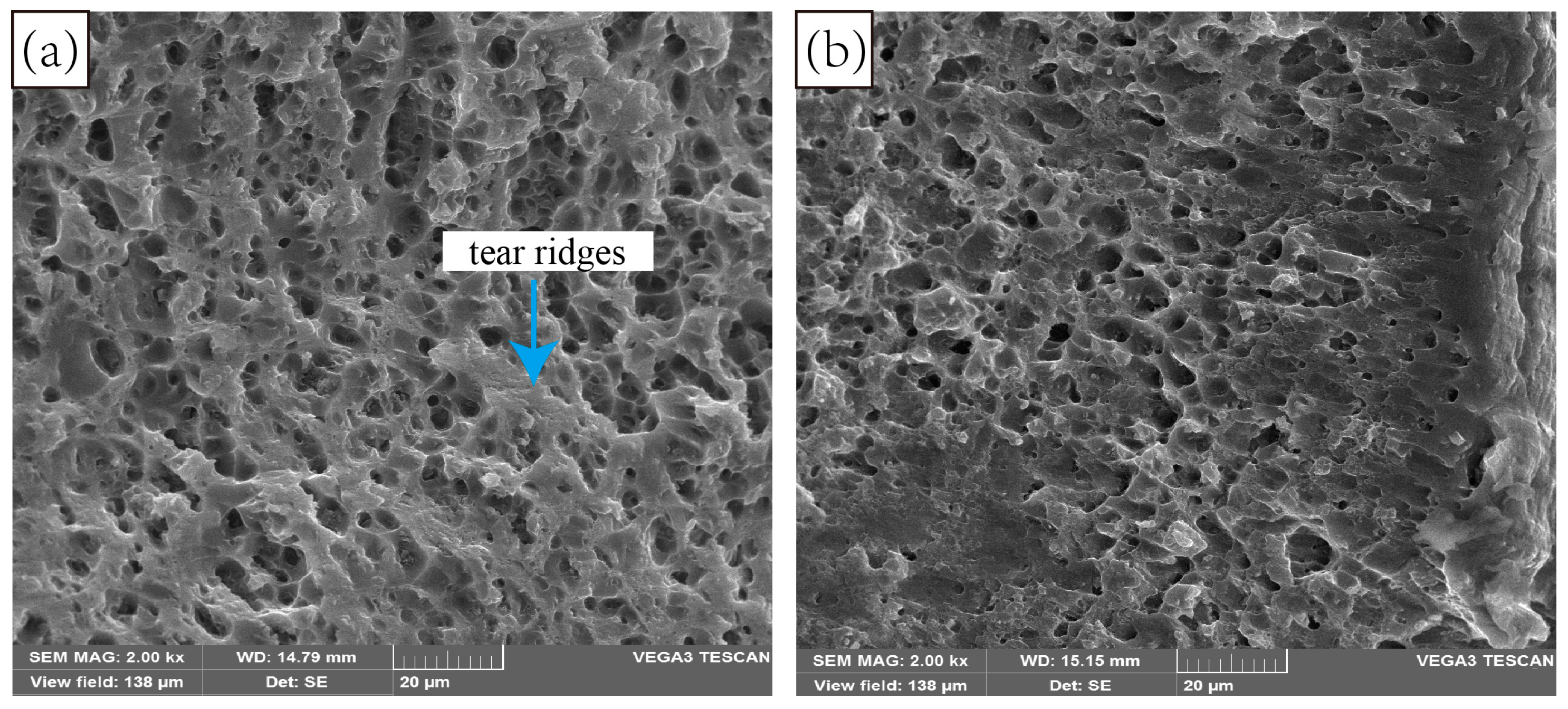 Crystals 14 00039 g010