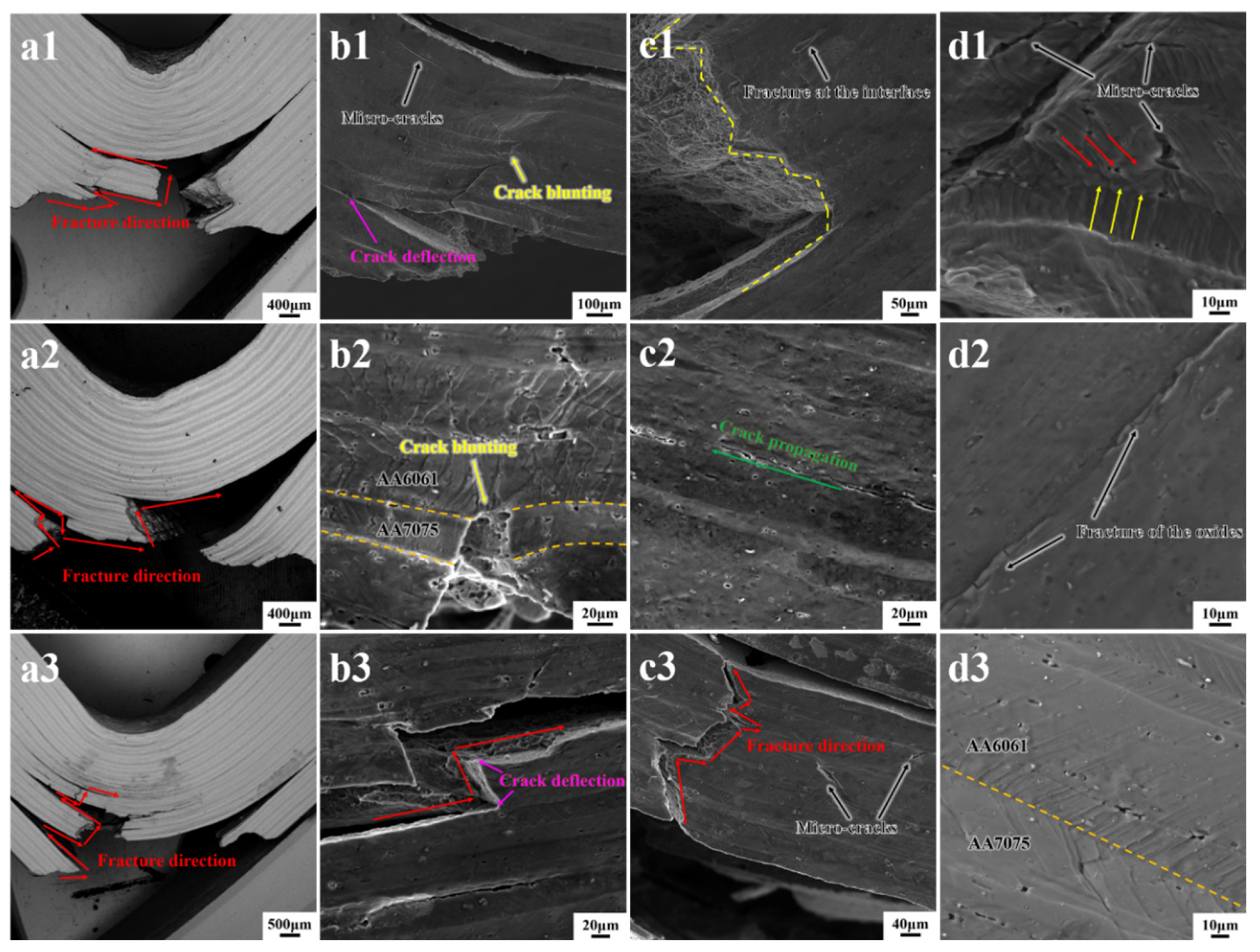 Crystals 14 00044 g009