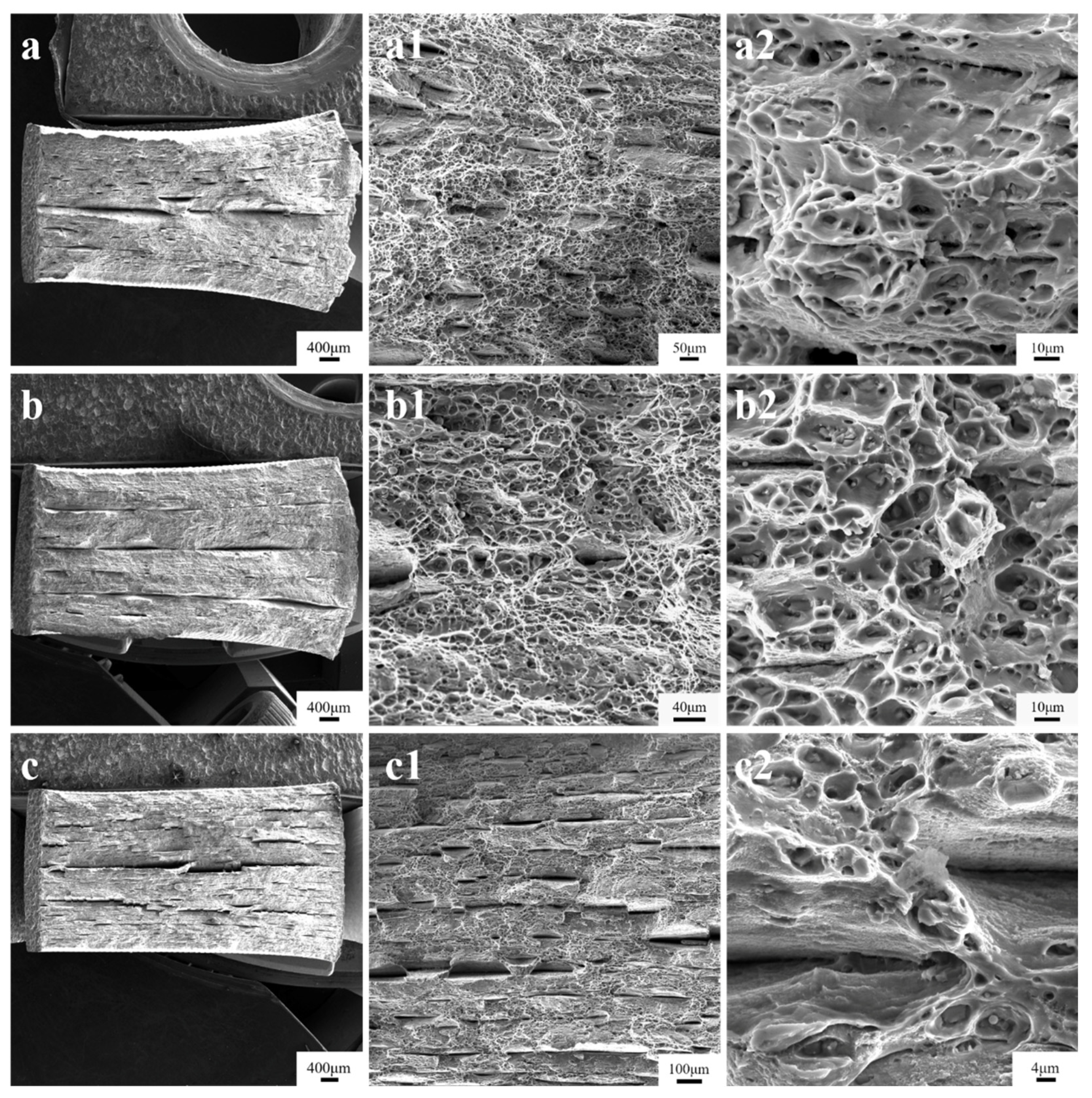 Crystals 14 00044 g014