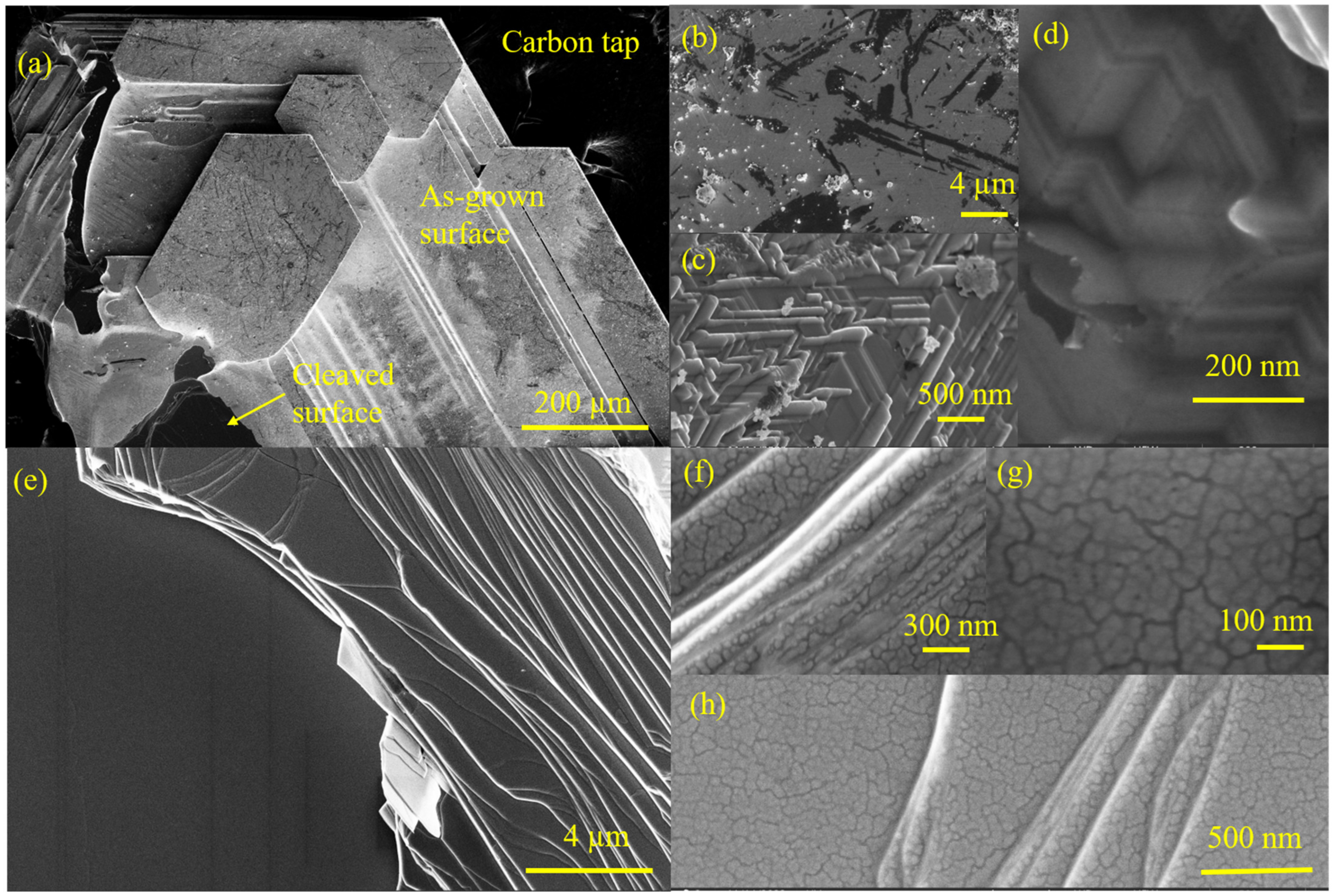 Crystals 14 00046 g004