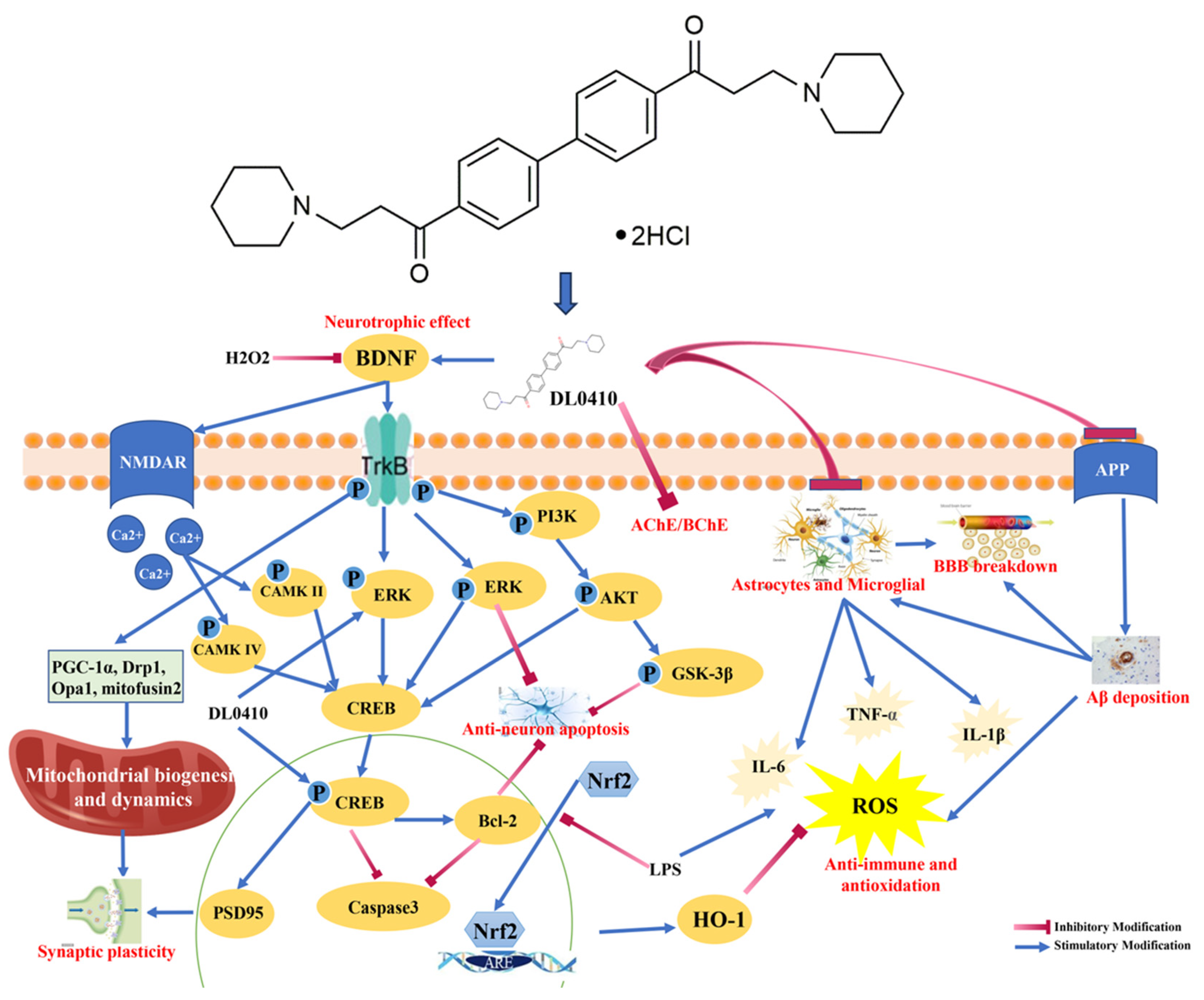Crystals 14 00059 g001