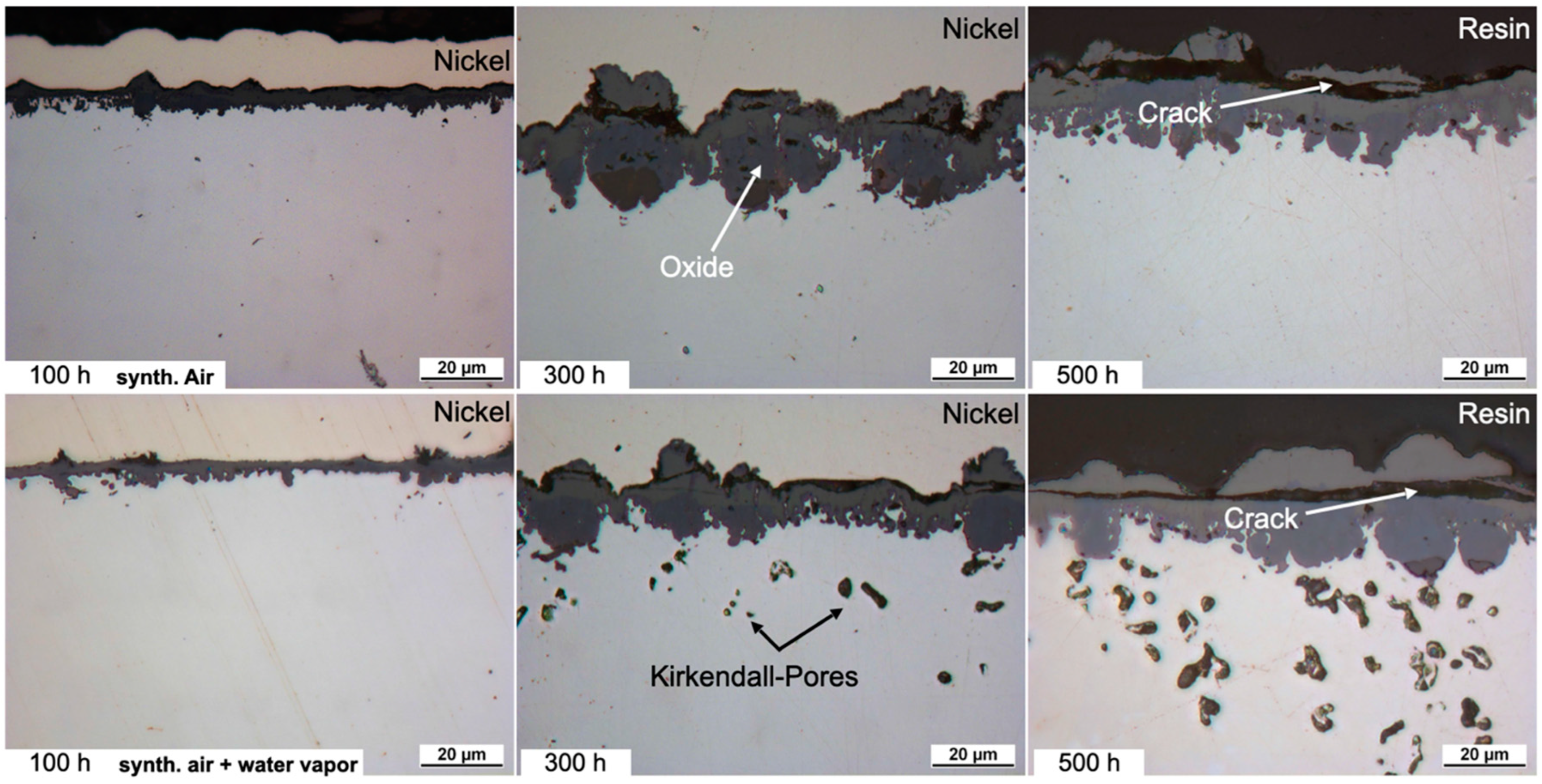 Crystals 14 00060 g001