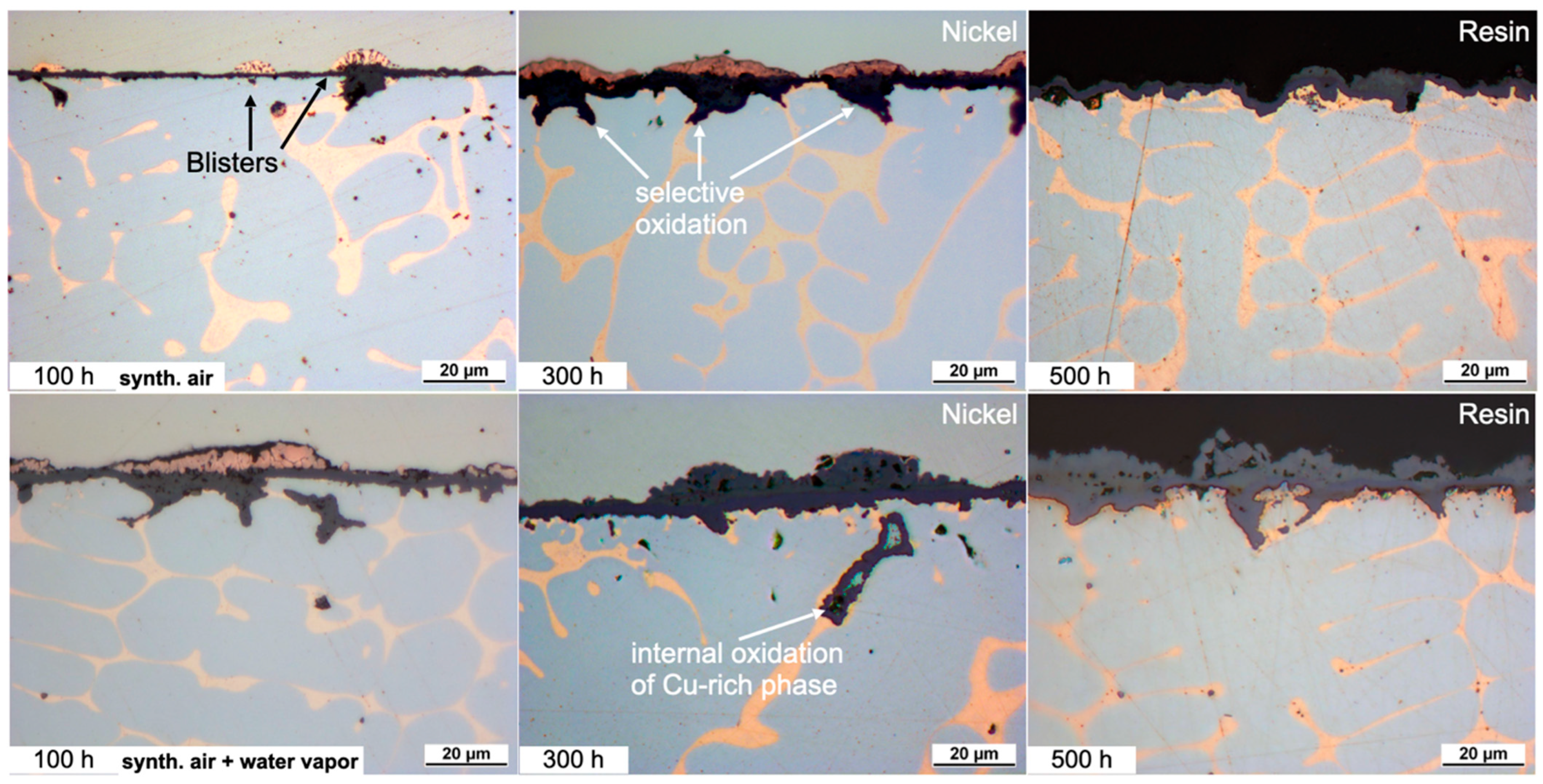 Crystals 14 00060 g003