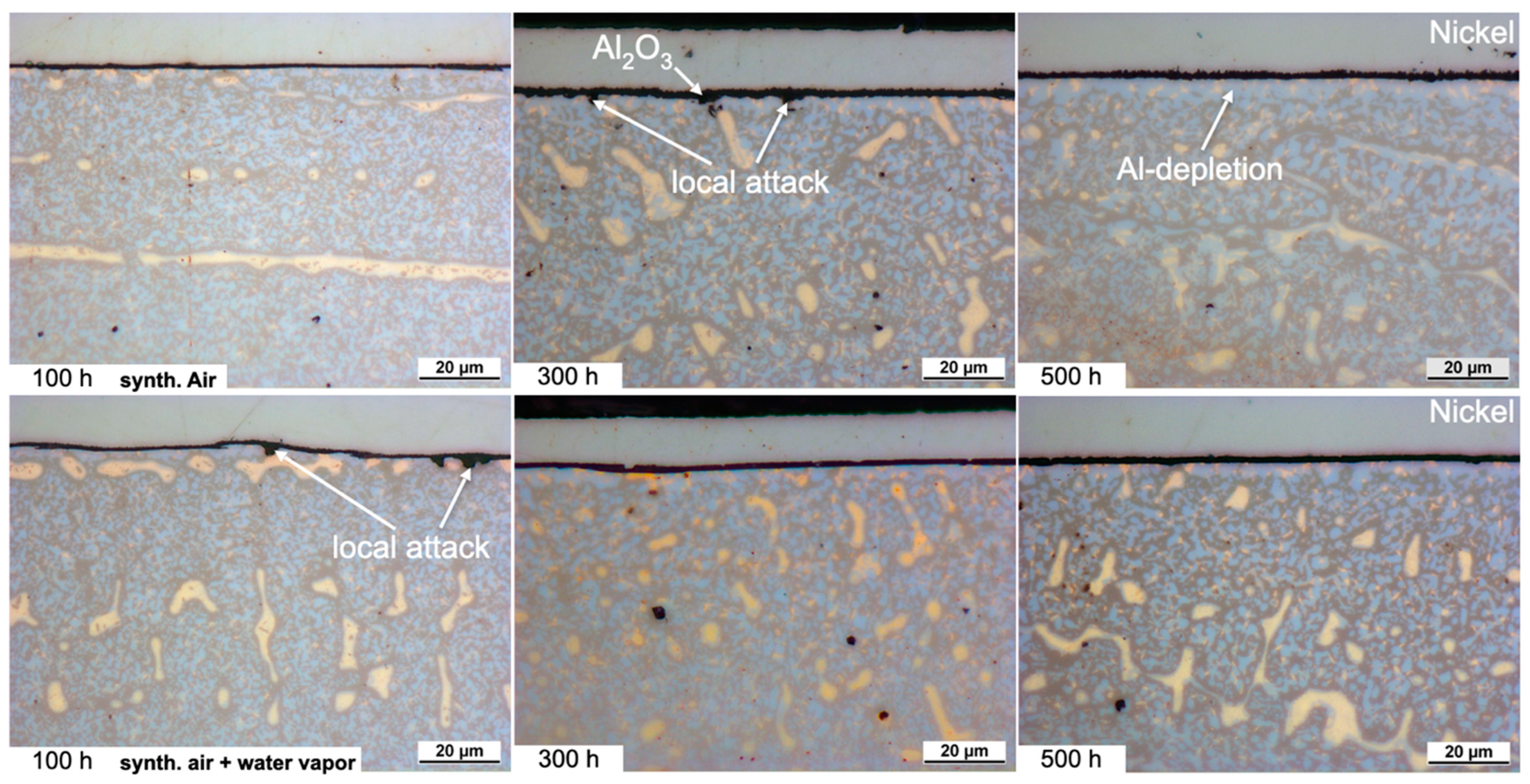 Crystals 14 00060 g010