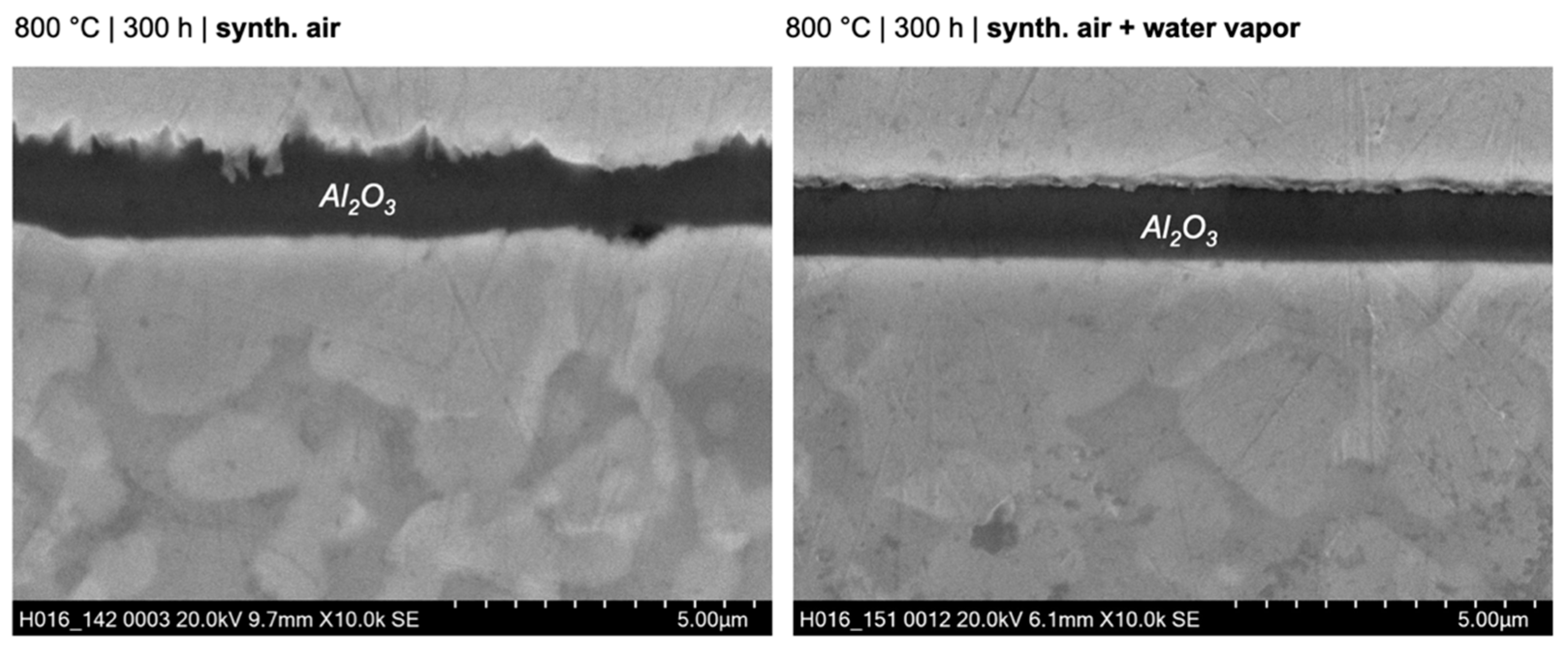 Crystals 14 00060 g013